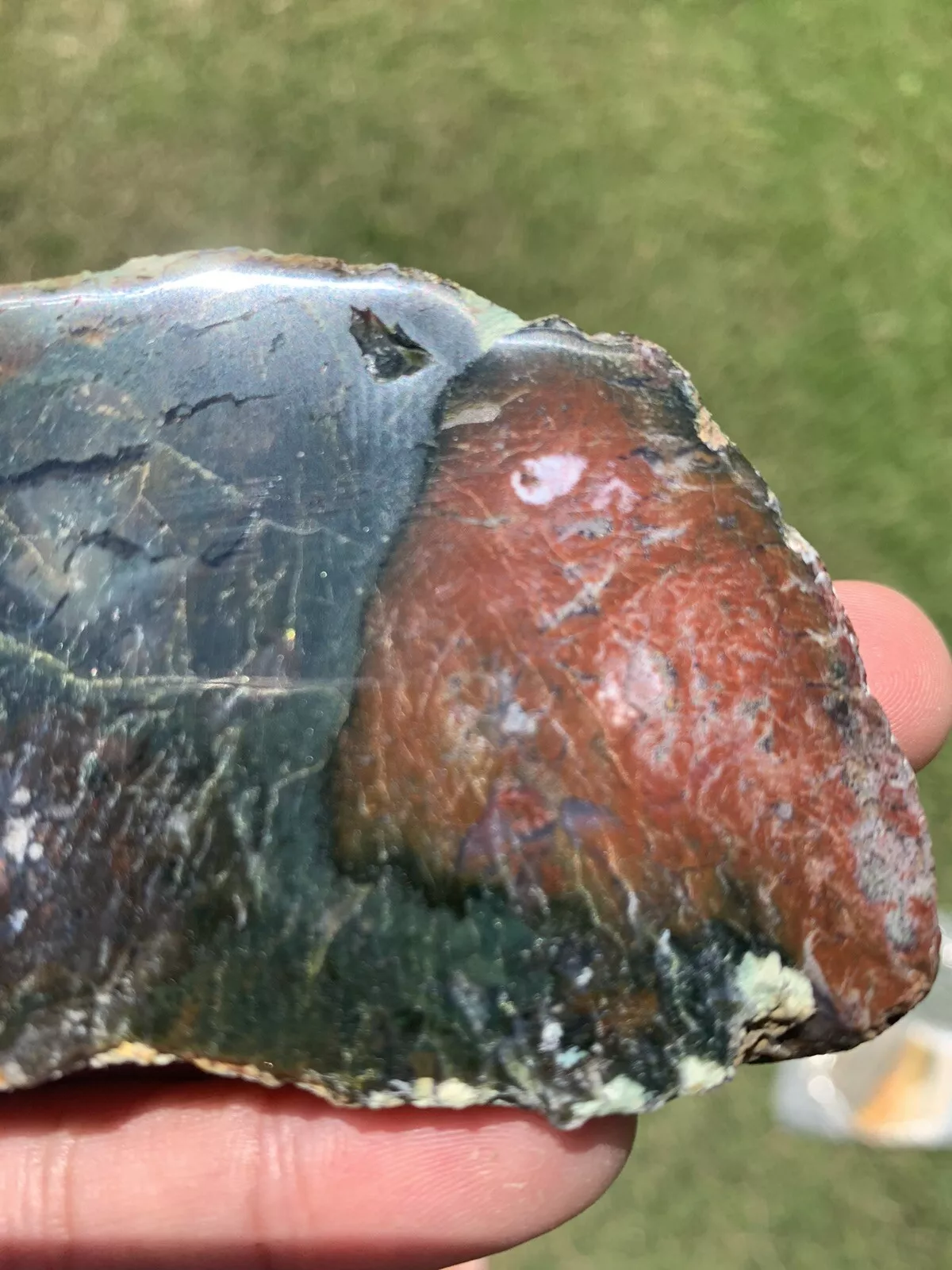 Polished Red and Blue Moss Agate from Indonesia, Slab, Slice