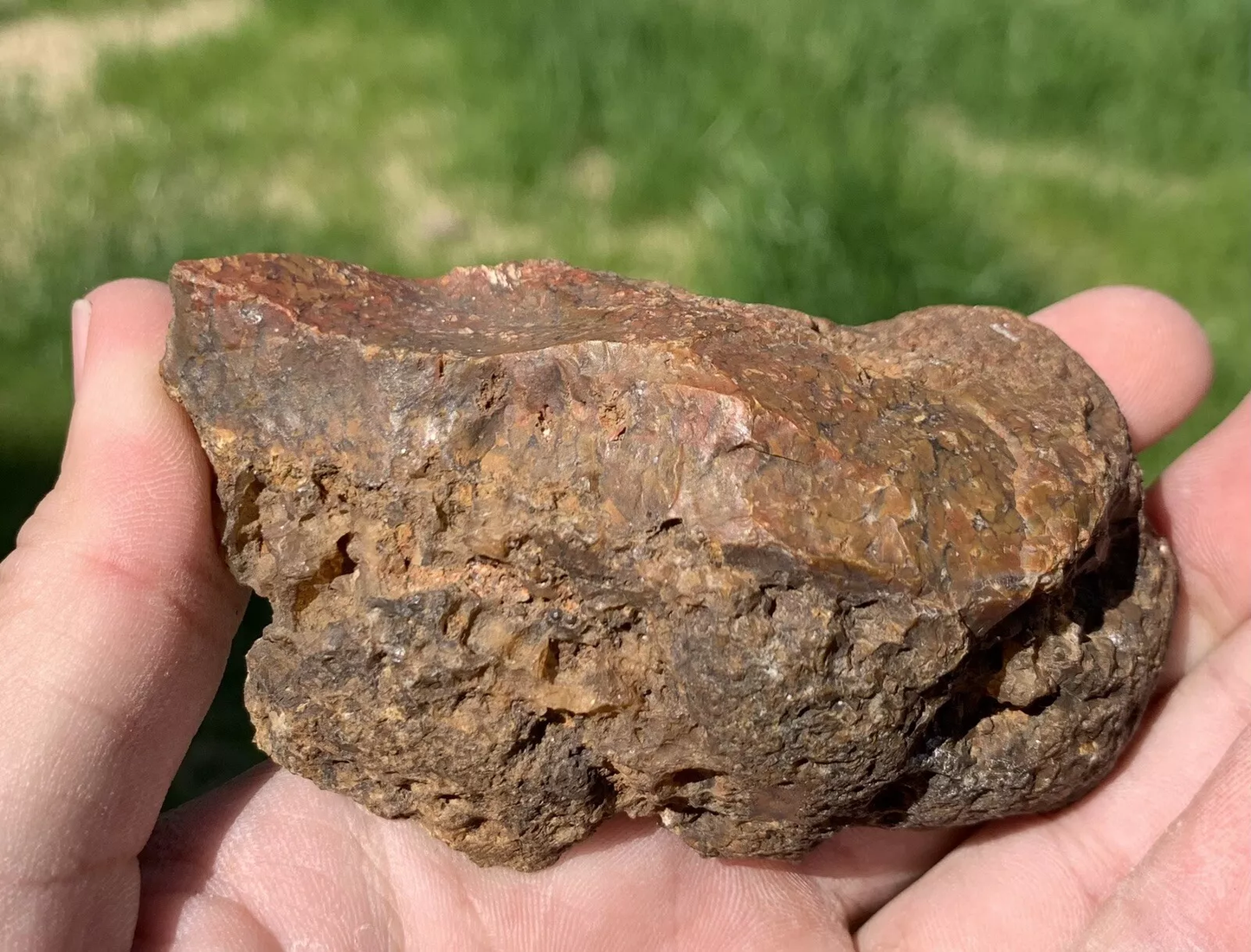 Polished Brown Plume Agate from Indonesia, Slab, Slice