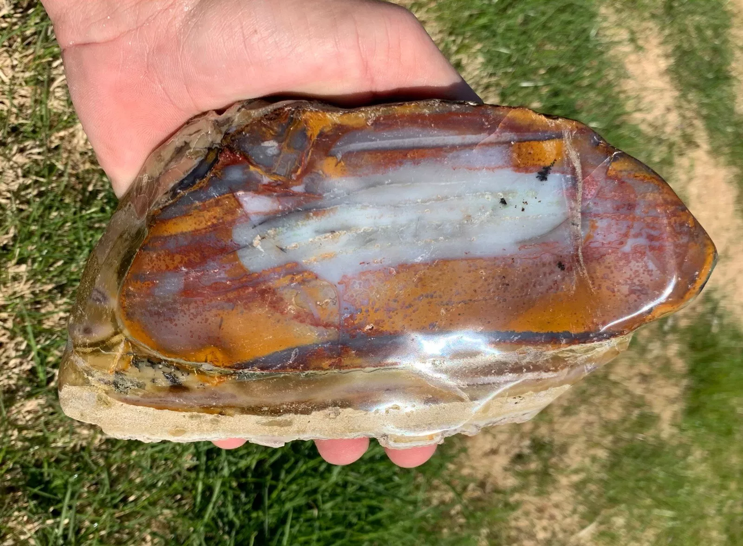 Polished Petrified Blue Copper Wood, Indonesia, Slab, Slice