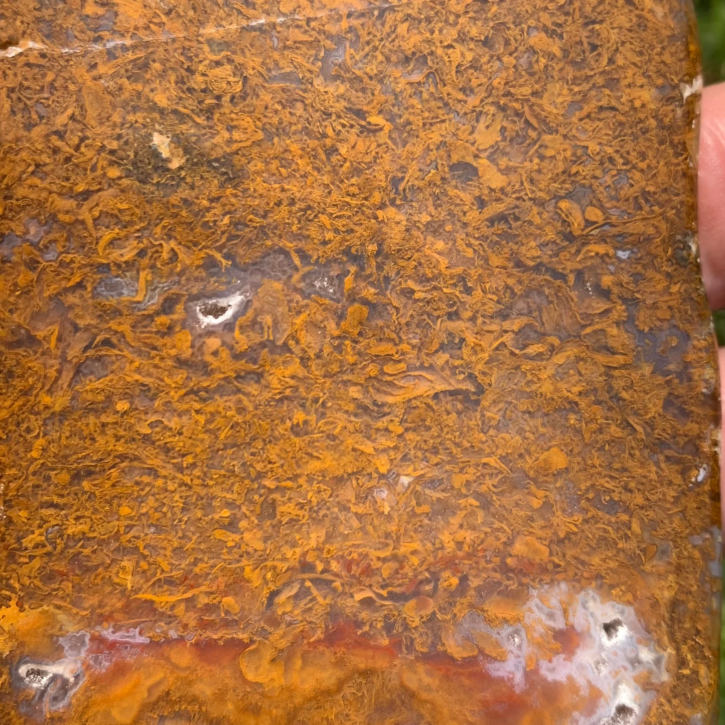 Polished Brown Moss Agate slab from Indonesia