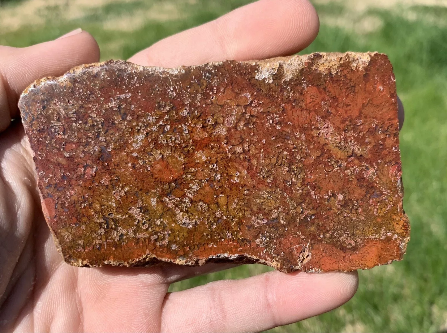 Polished Red Plume Agate from Indonesia, Slab, Slice