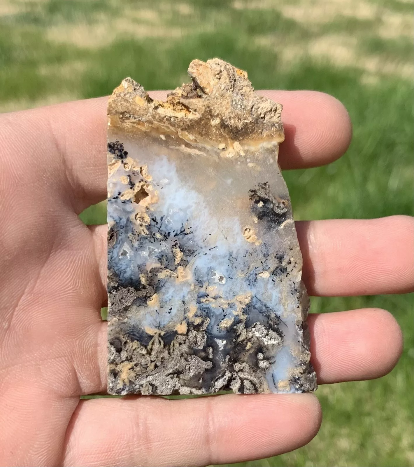 Polished Dendrite Agate from Indonesia, Slab, Slice