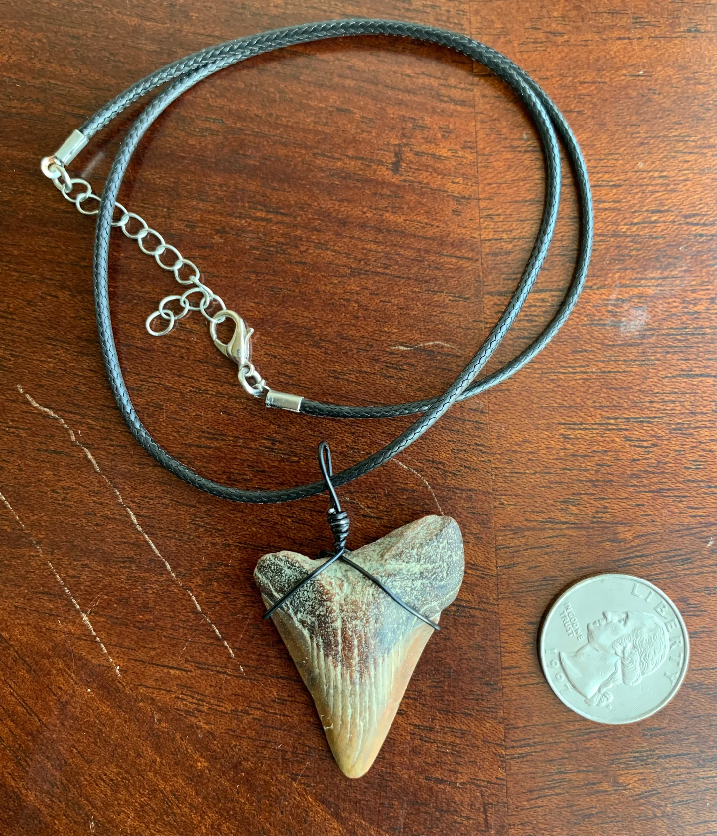 Megalodon shark tooth necklace
