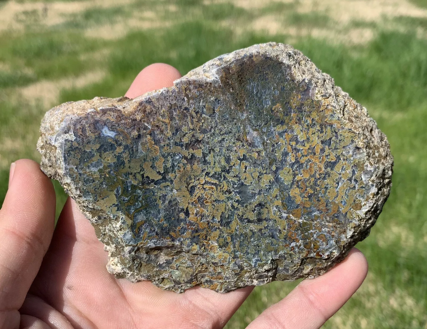 Polished Yellow Green Moss Agate from Indonesia, Slab, Slice