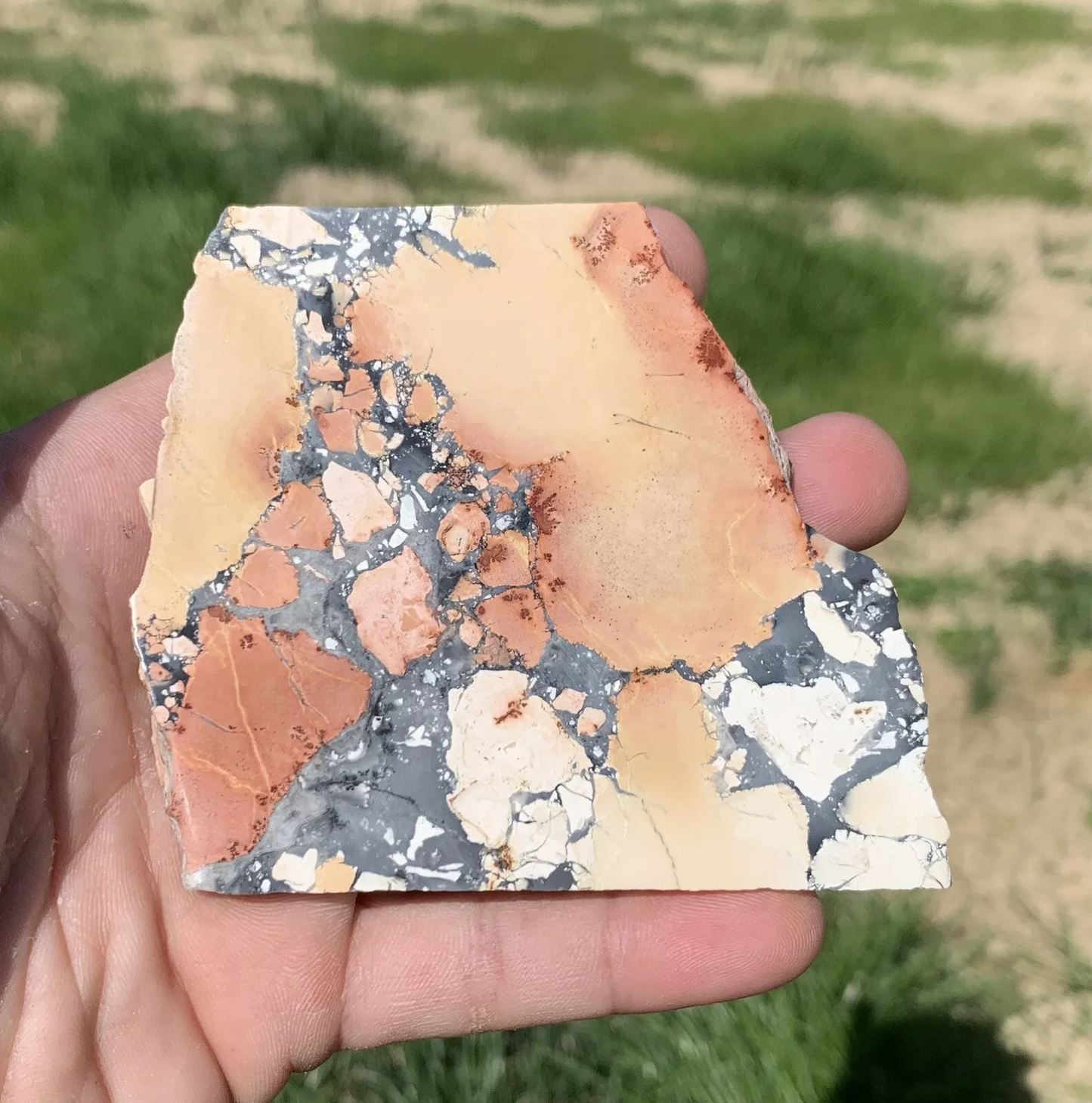 Polished Maligano Jasper Indonesia, Slab, Slice