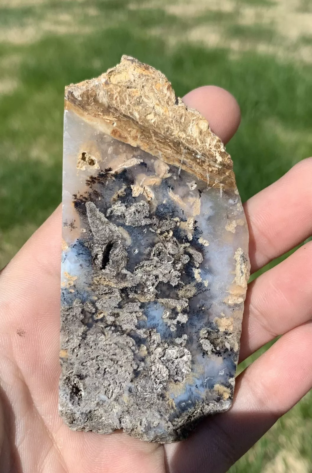 Polished Dendrite Agate from Indonesia, Slab, Slice