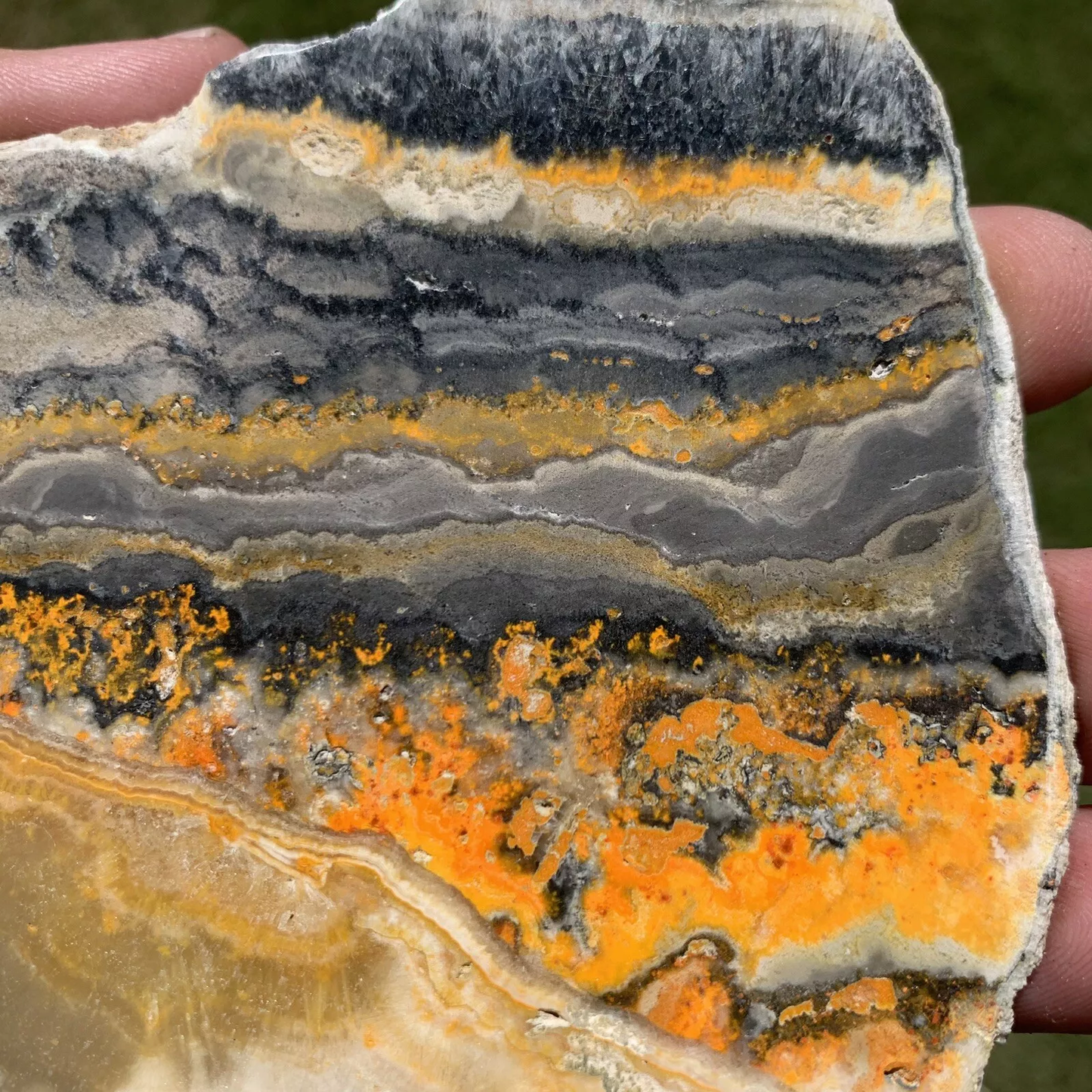 Polished Bumblebee Travertine from Indonesia, Slab, Slice