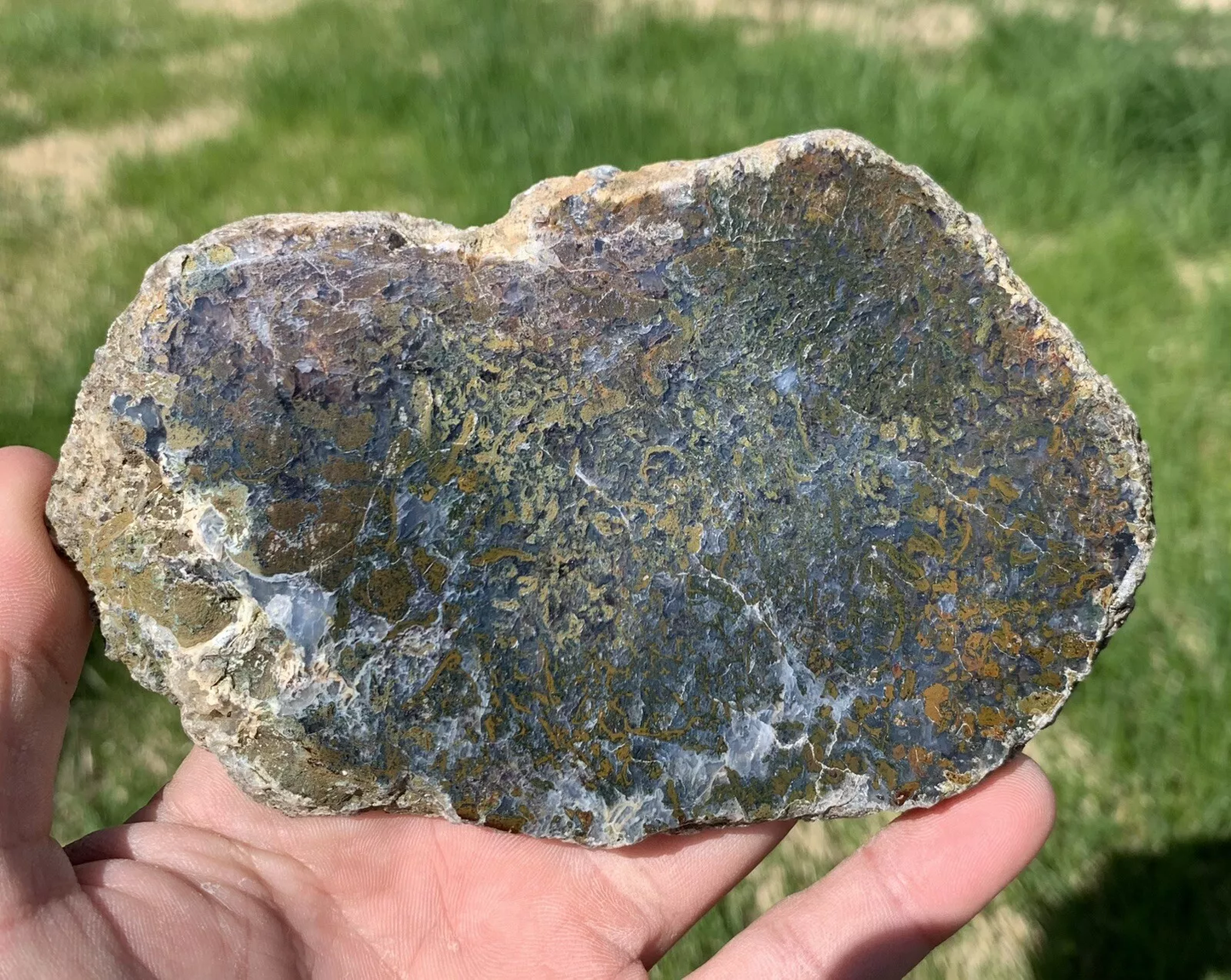 Polished Yellow Green Moss Agate from Indonesia, Slab, Slice