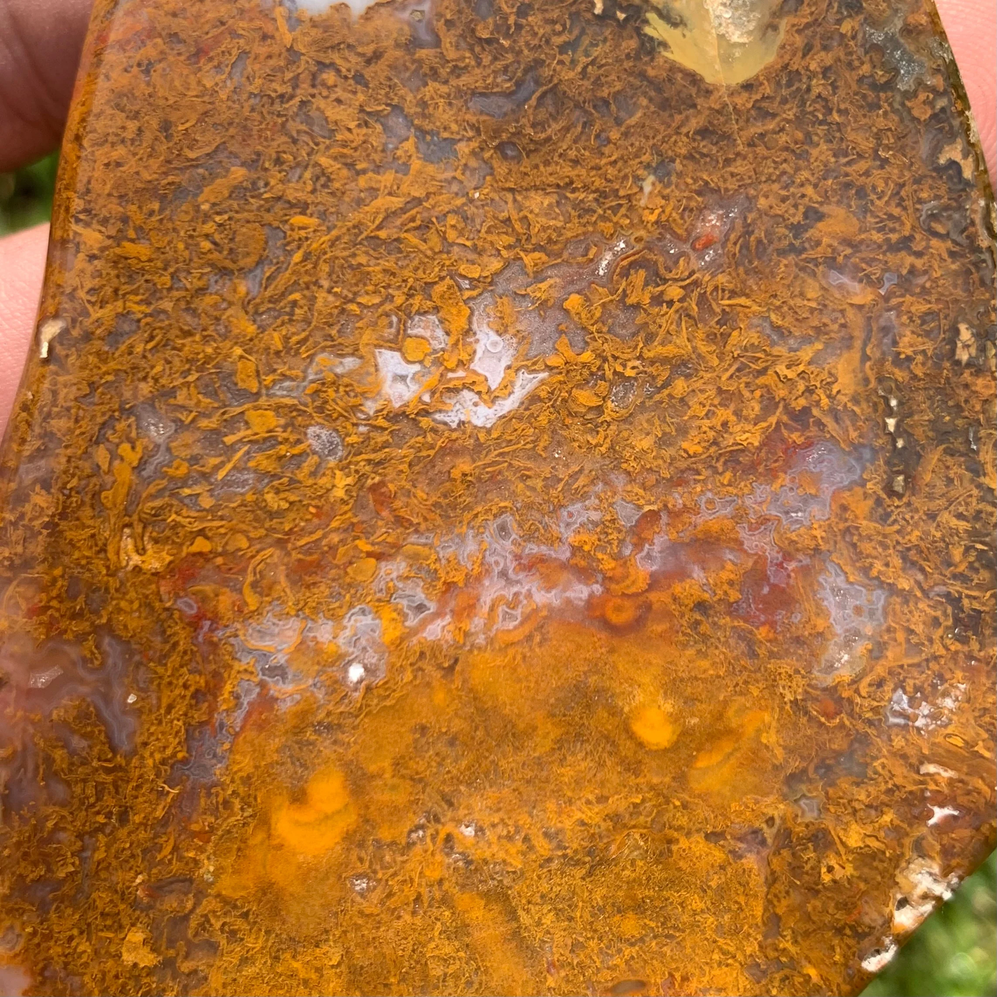 Polished Brown Moss Agate slab from Indonesia