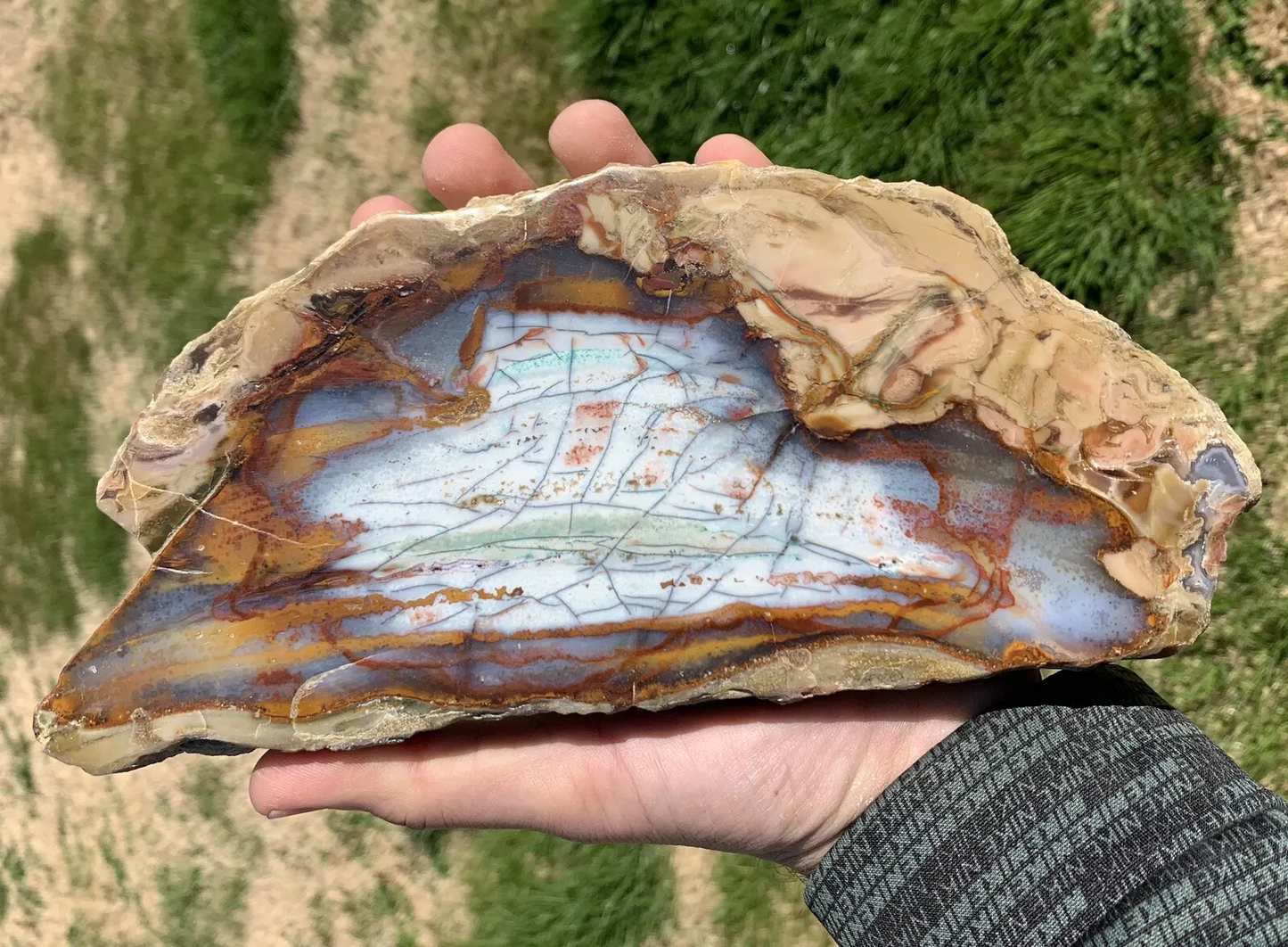 Polished Petrified Blue Copper Wood, Indonesia, Slab slice