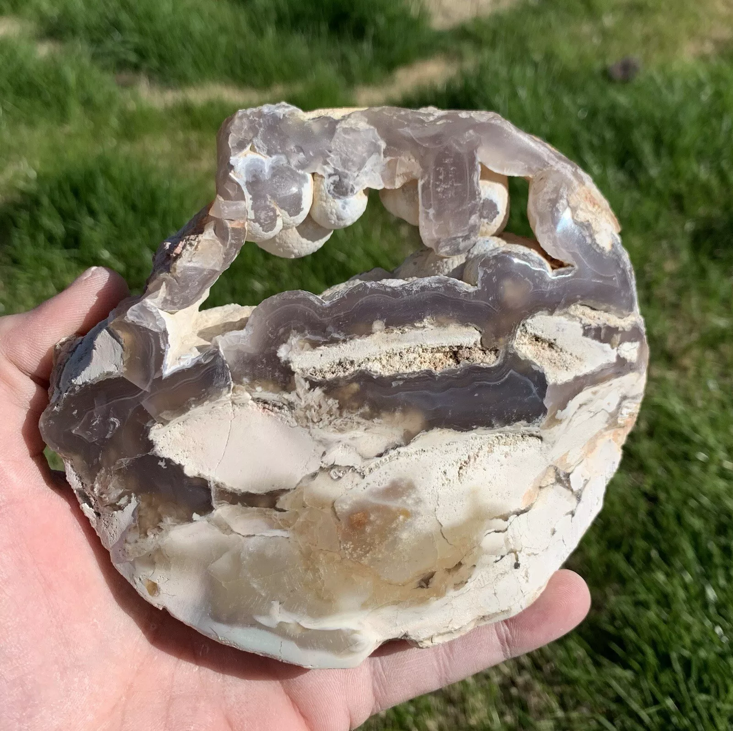 Polished Agatized Fossil Wood Round from Indonesia, Slab, Slice
