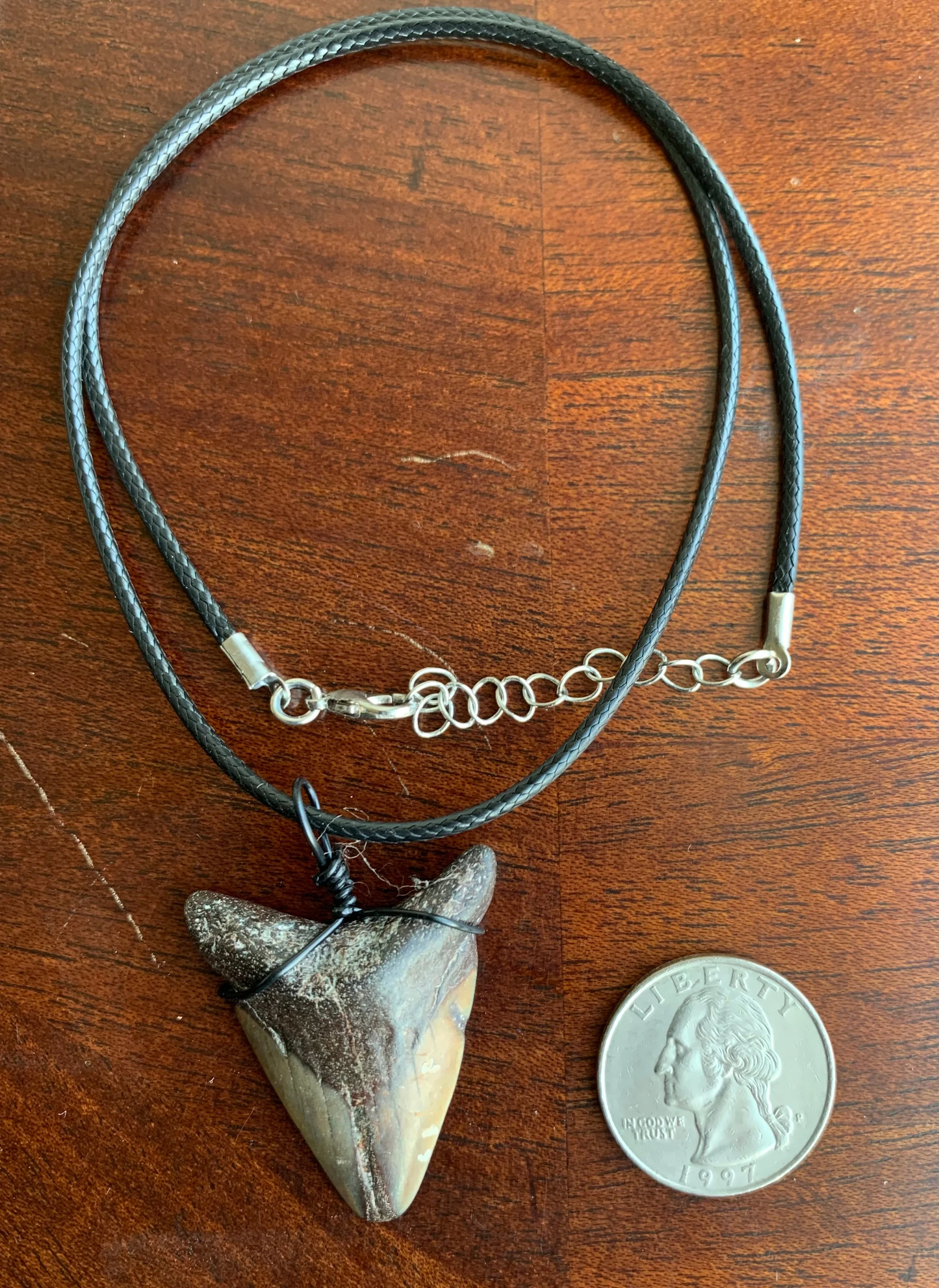 Megalodon shark tooth necklace