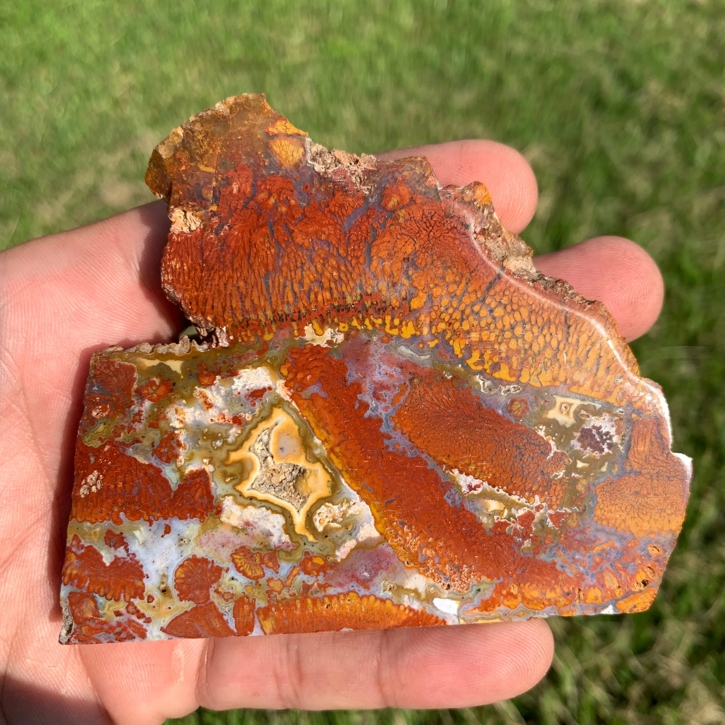 Polished Red Plume Agate slab from Indonesia