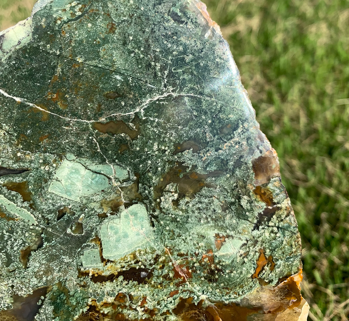 Polished Moss Agate slab from Indonesia