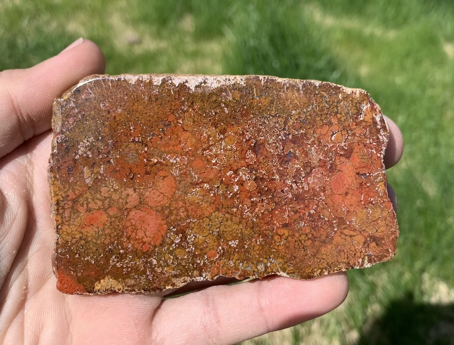 Polished Red Plume Agate from Indonesia, Slab, Slice