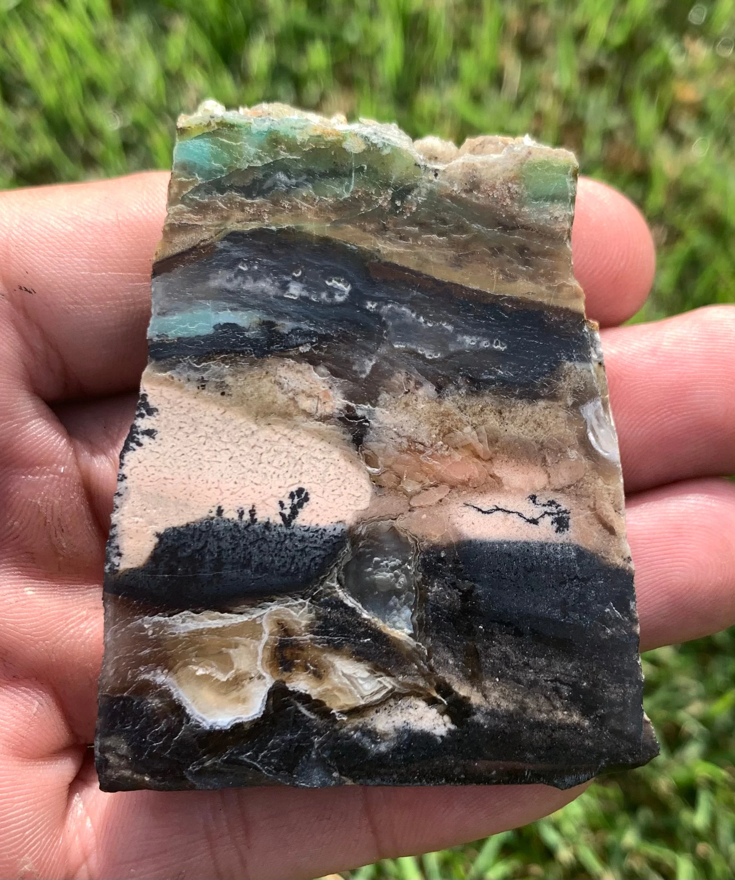 Polished Agatized Fossil Wood from Indonesia