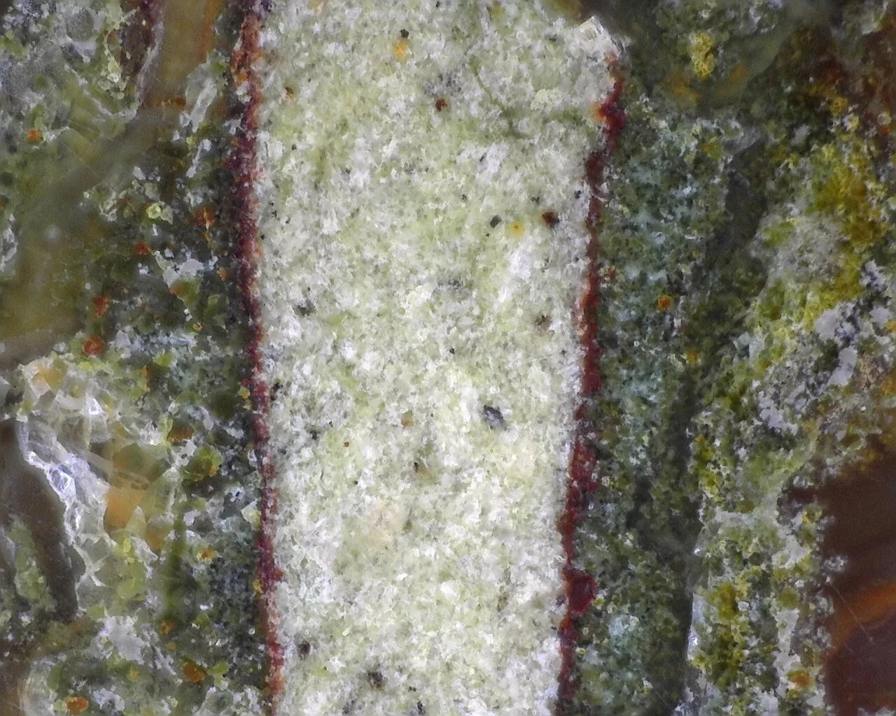 Polished Timor Agate from Indonesia, Slab, Slice