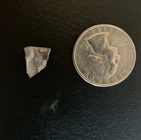 Triceratops Tooth From The Hell Creek Formation Of South Dakota