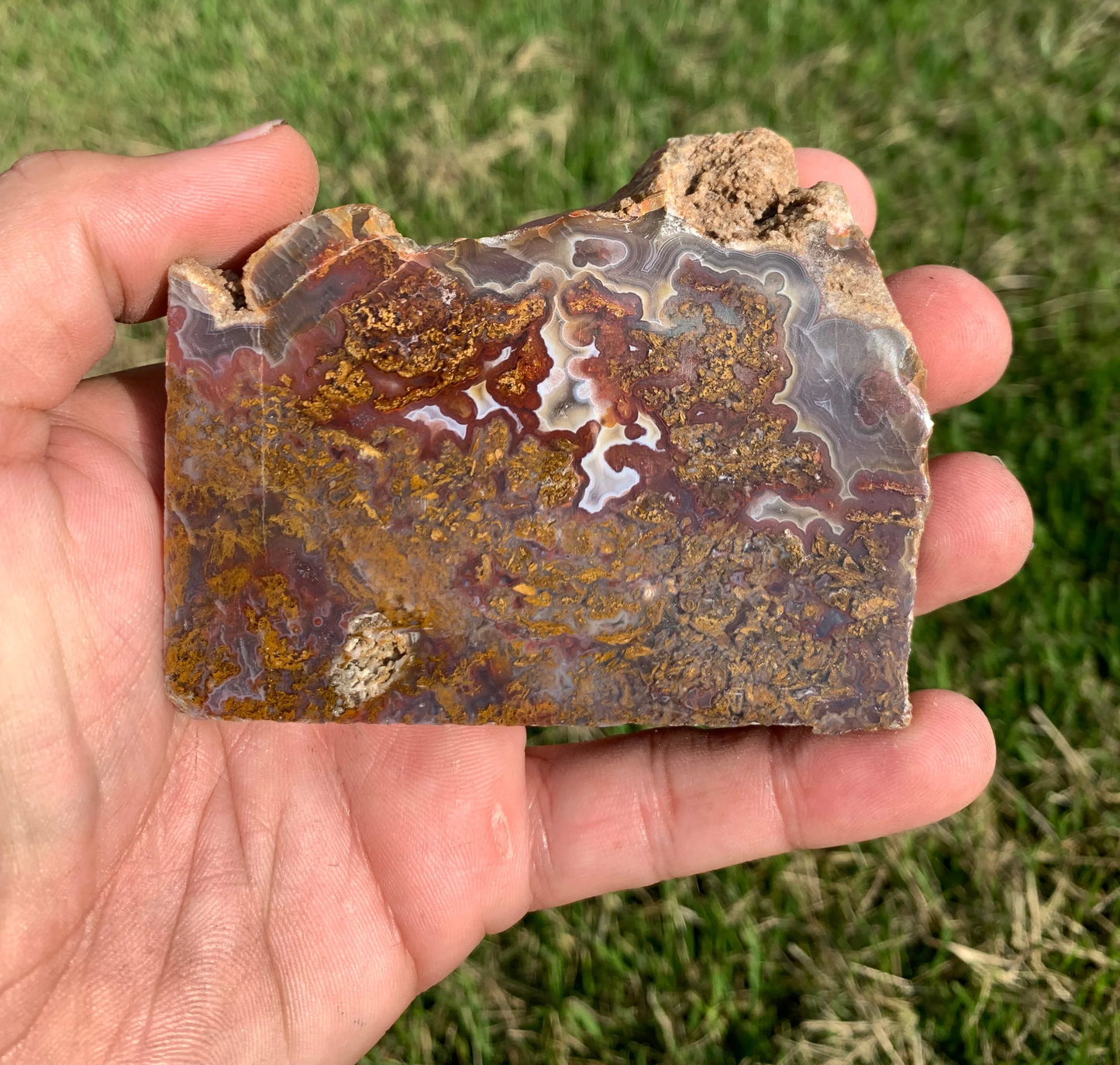 Polished Moss Agate slab from Indonesia