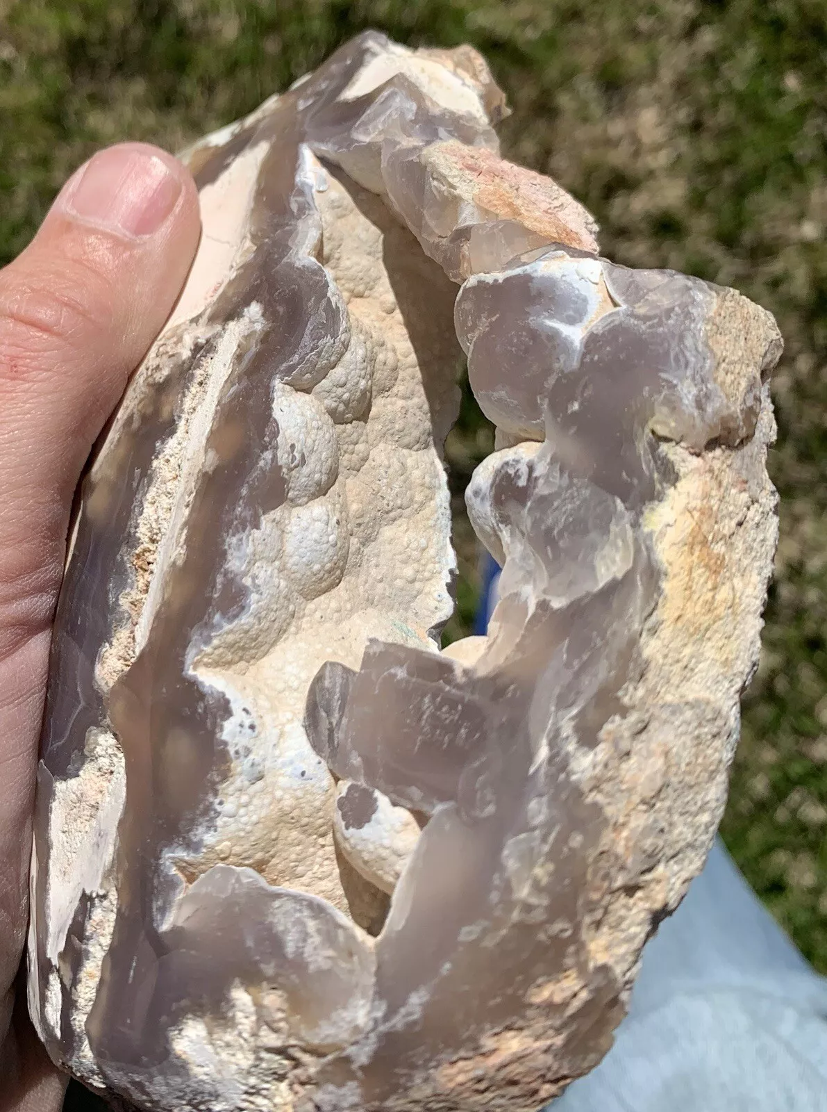 Polished Agatized Fossil Wood Round from Indonesia, Slab, Slice