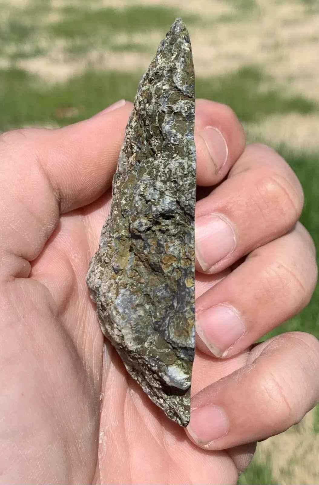 Polished Yellow Green Moss Agate from Indonesia, Slab, Slice