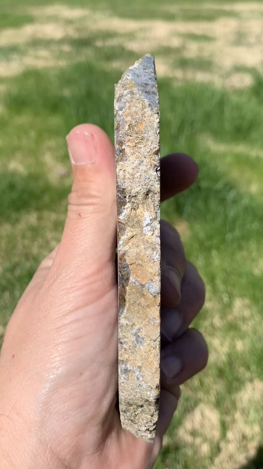 Polished Yellow Green Moss Agate from Indonesia, Slab, Slice