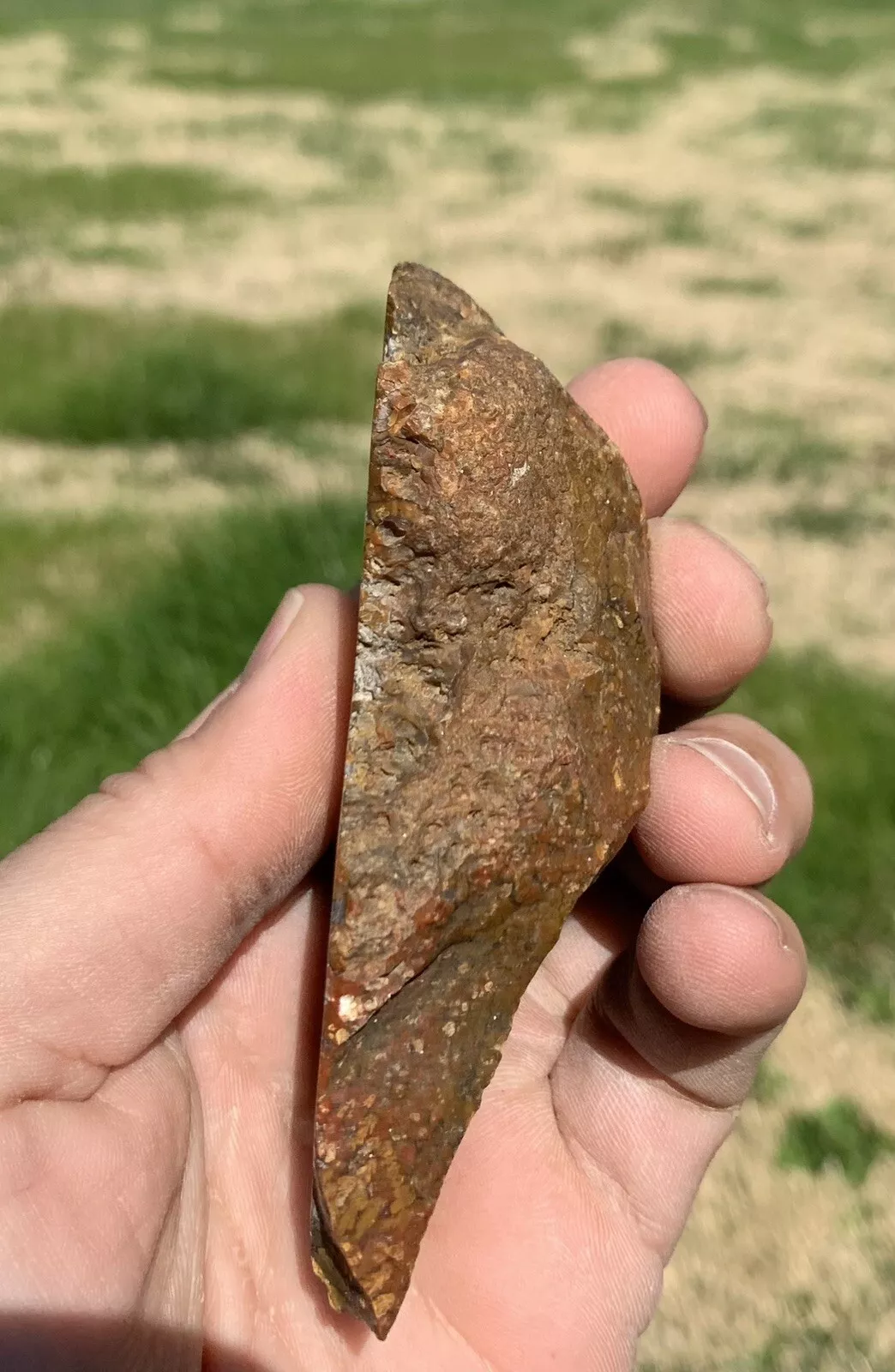 Polished Brown Plume Agate from Indonesia, Slab, Slice