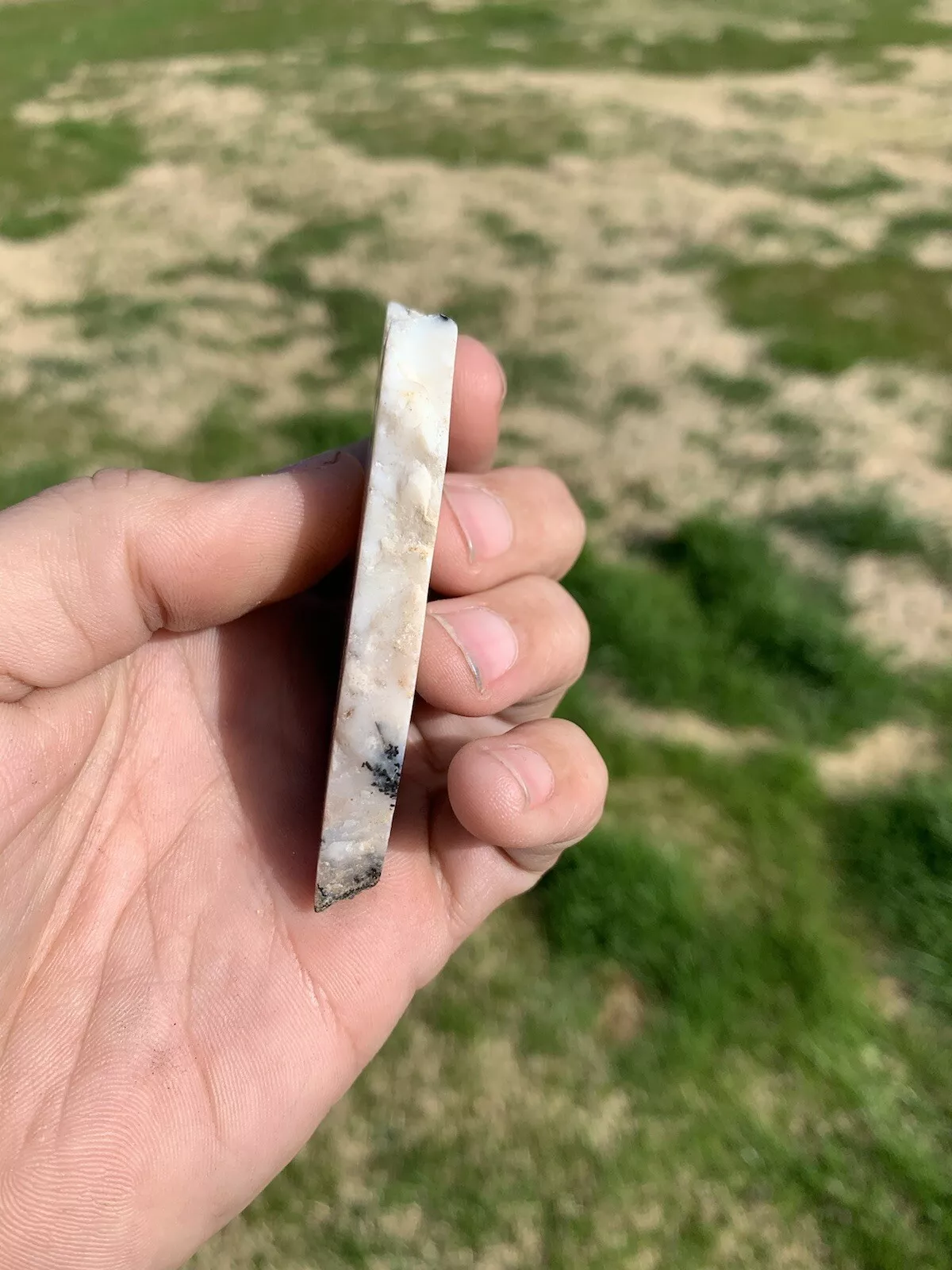 Polished Dendrite Agate from Indonesia, Slab, Slice