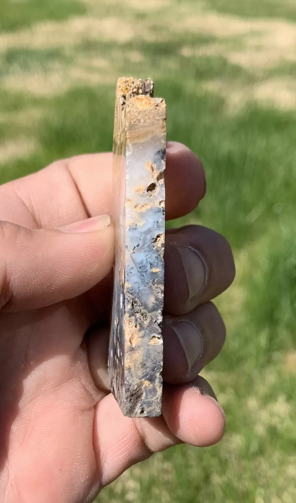 Polished Dendrite Agate from Indonesia, Slab, Slice