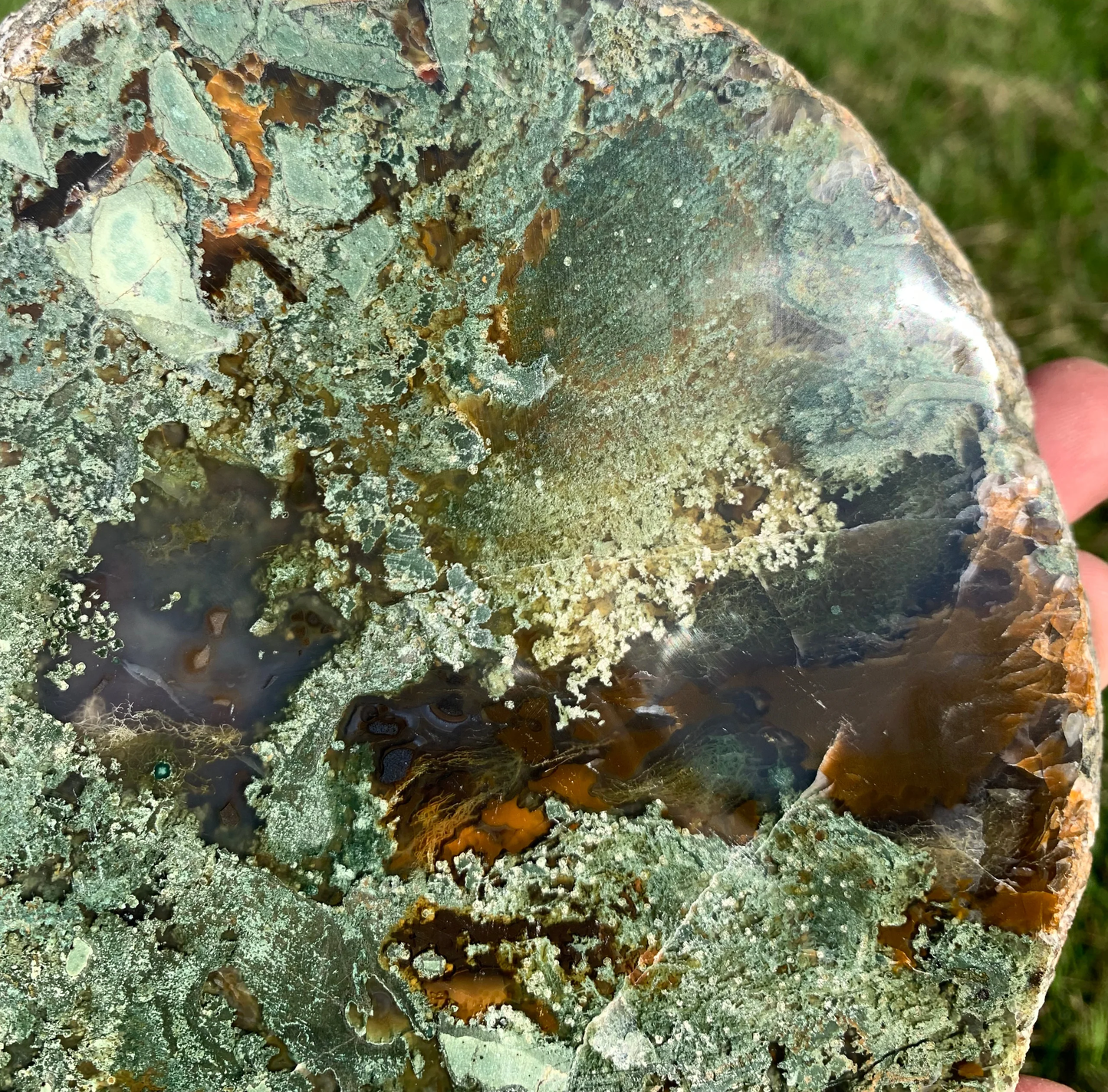 Polished Moss Agate slab from Indonesia