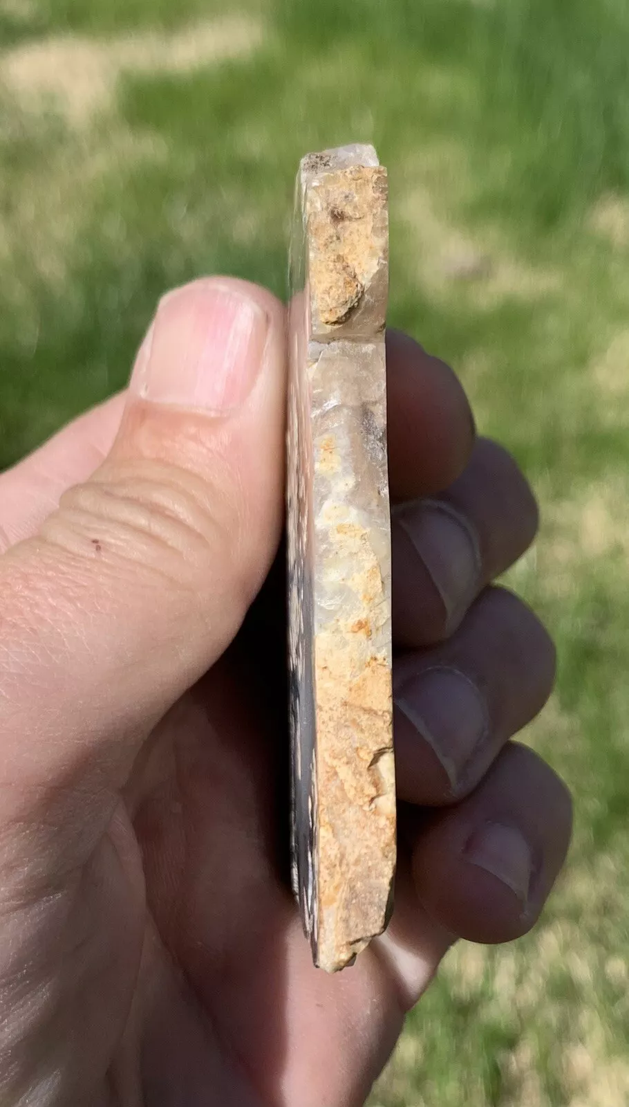 Polished Dendrite Agate from Indonesia, Slab, Slice