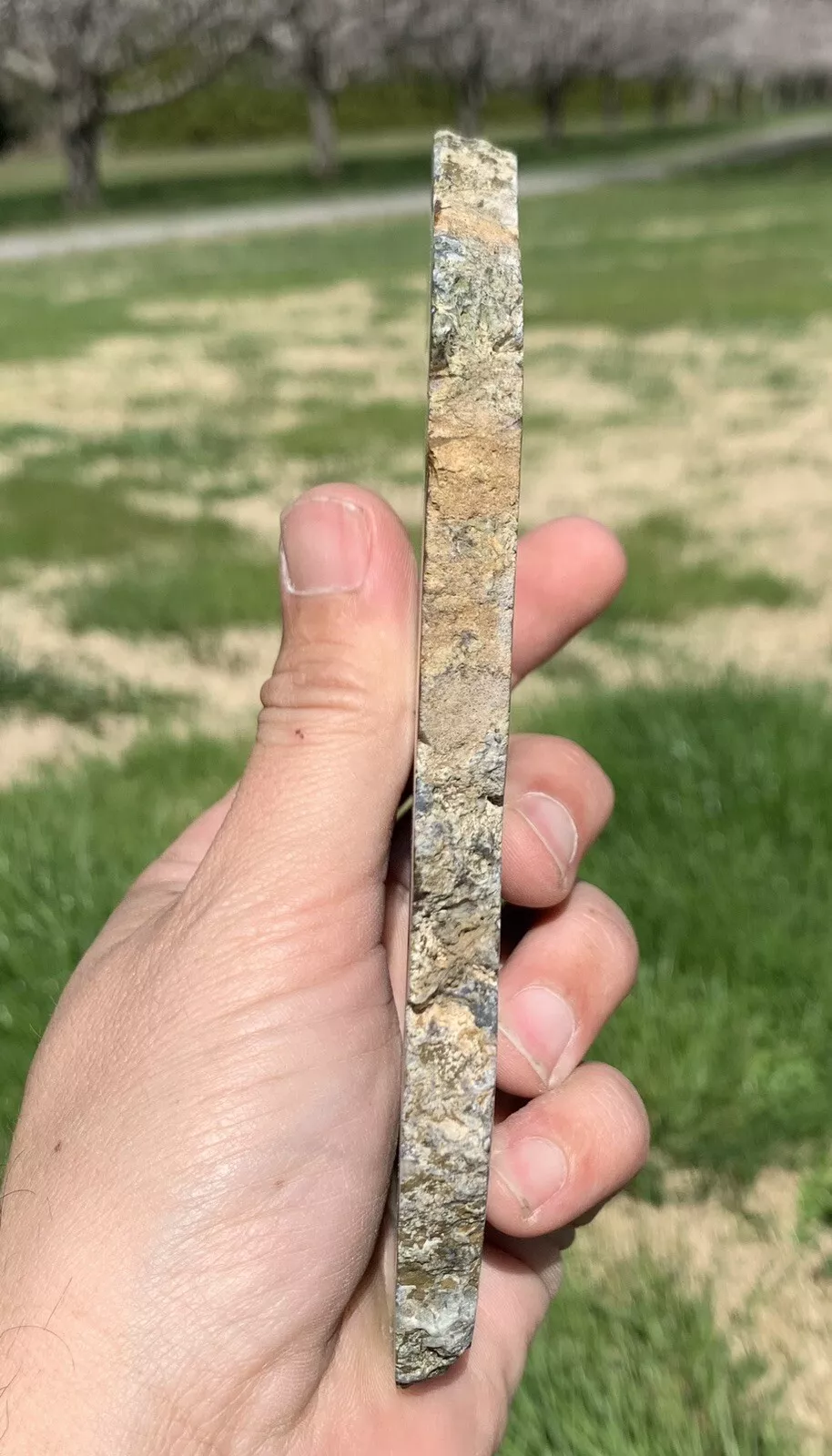 Polished Yellow Green Moss Agate from Indonesia, Slab, Slice