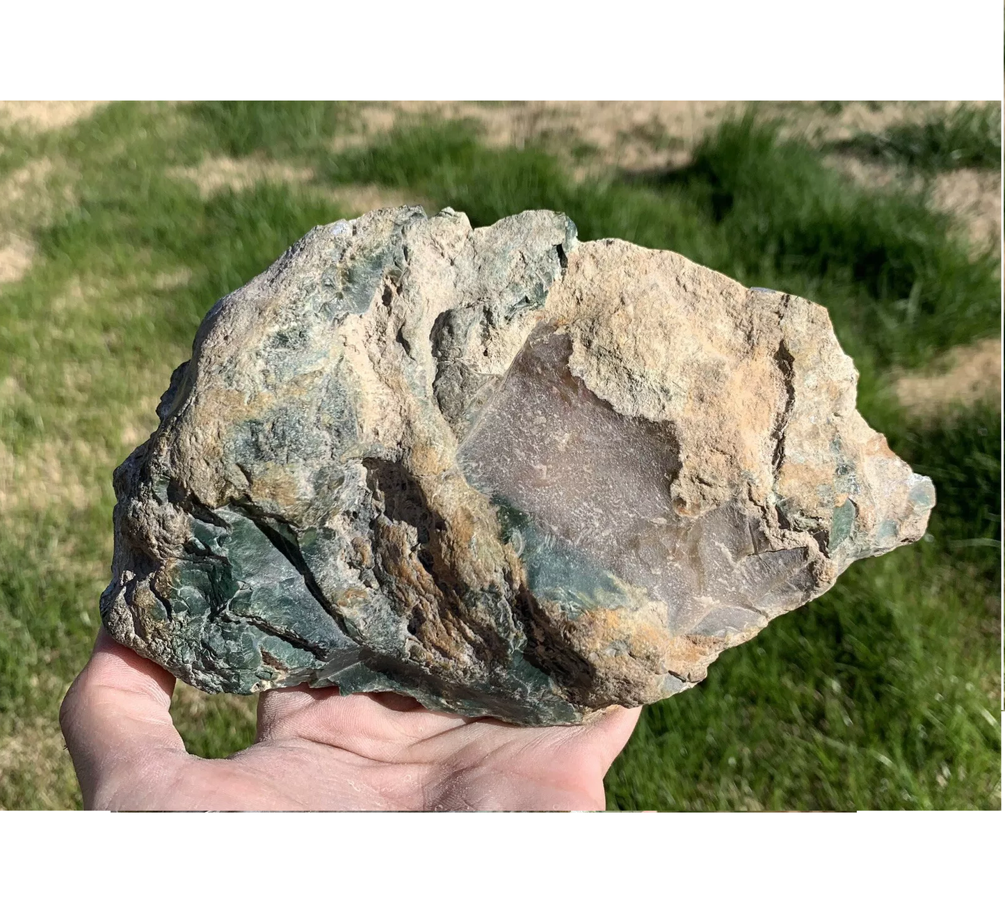 Green and Gray Petrified Wood Slab from Indonesia