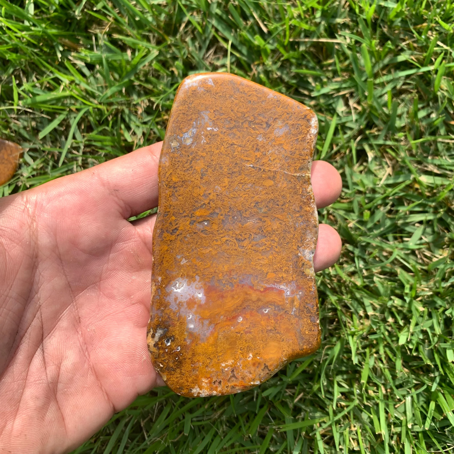Polished Brown Moss Agate slab from Indonesia