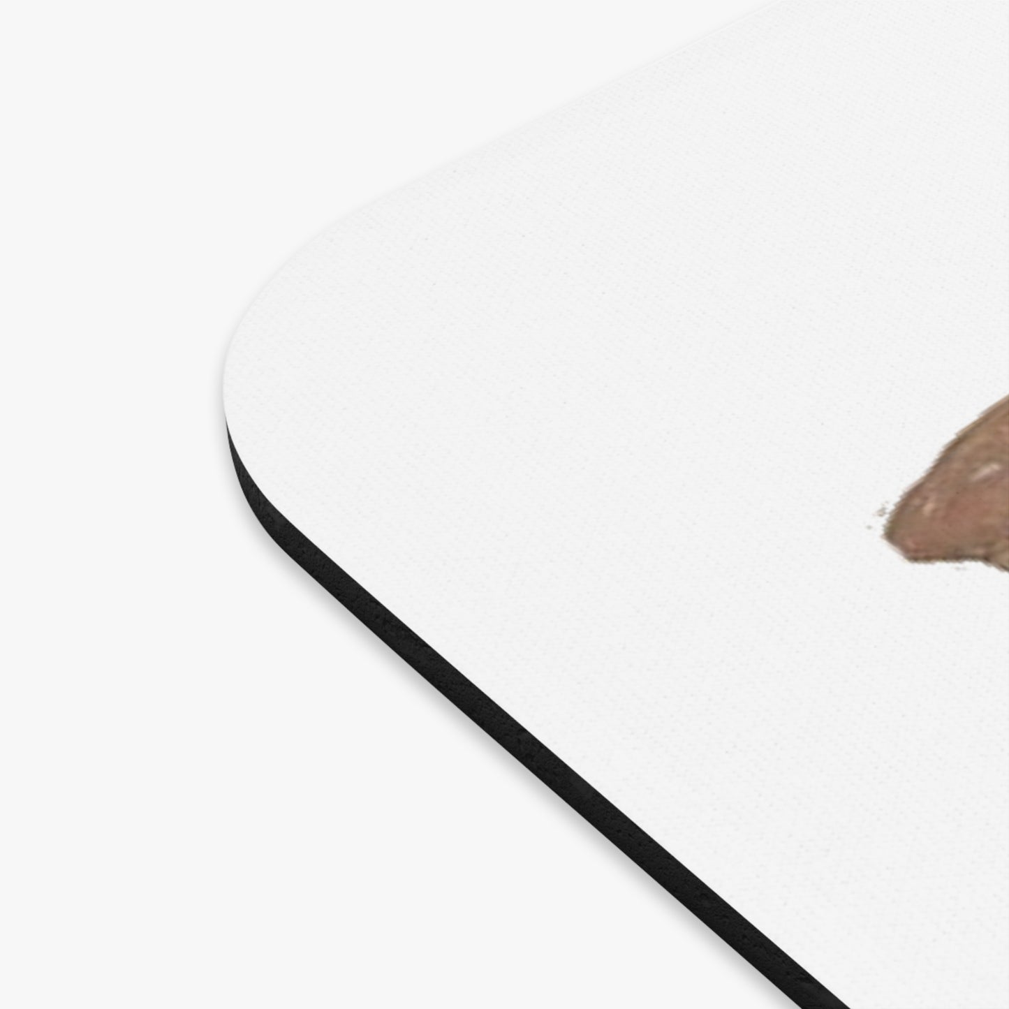 Fossil Skull Themed Mouse Pad - Squirrel - Ischyromys