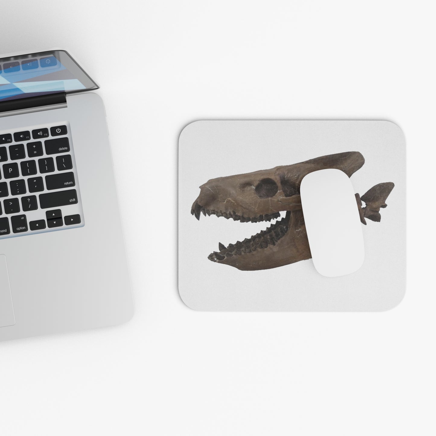 Fossil Skull Themed Mouse Pad - Oreodont - Merycoidodon culbertsoni