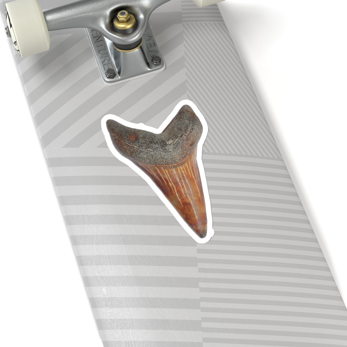 Carcharodon hastalis - Red Fossil Shark Tooth Sticker