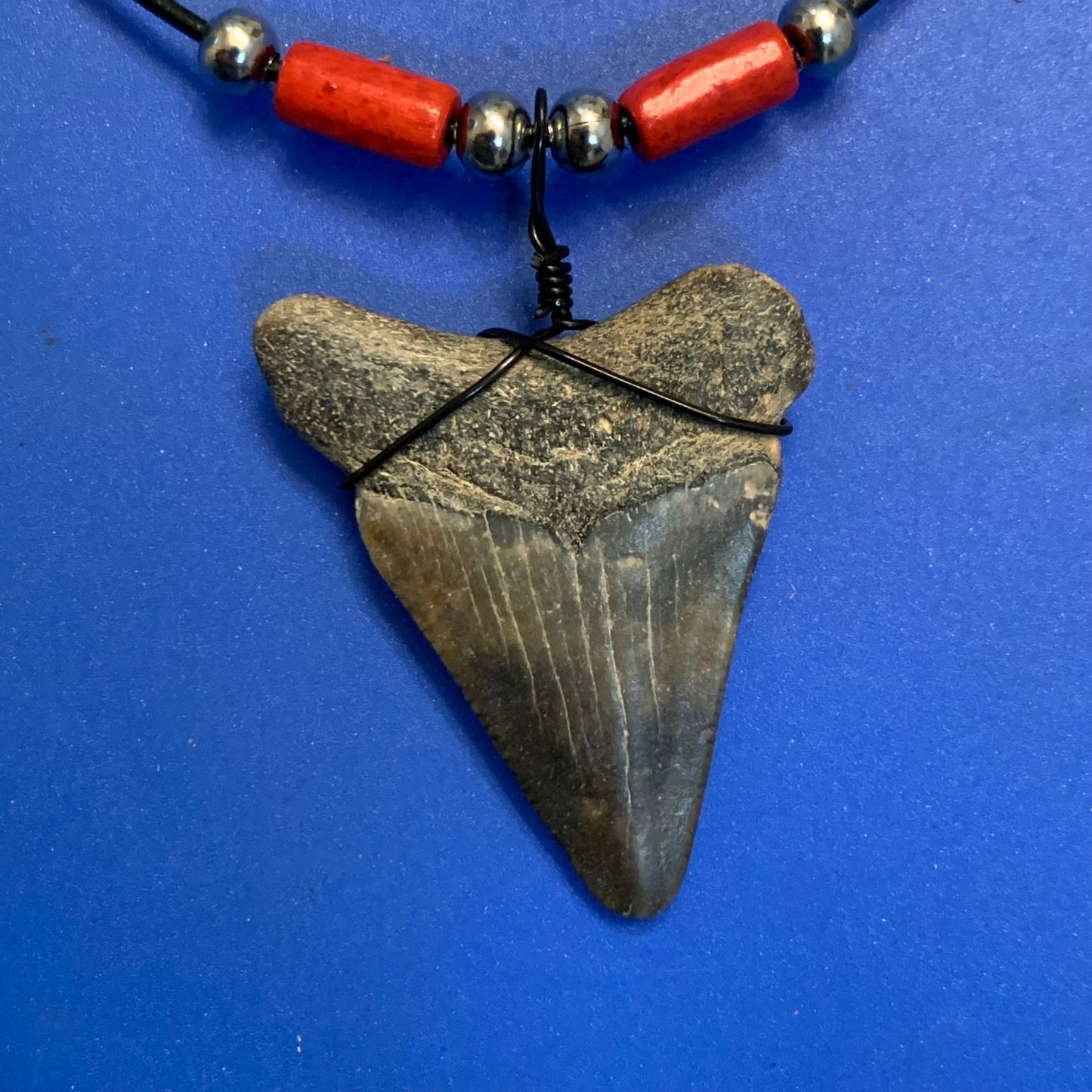 Real fossil megalodon shark tooth necklace on black cord, shark tooth pendant