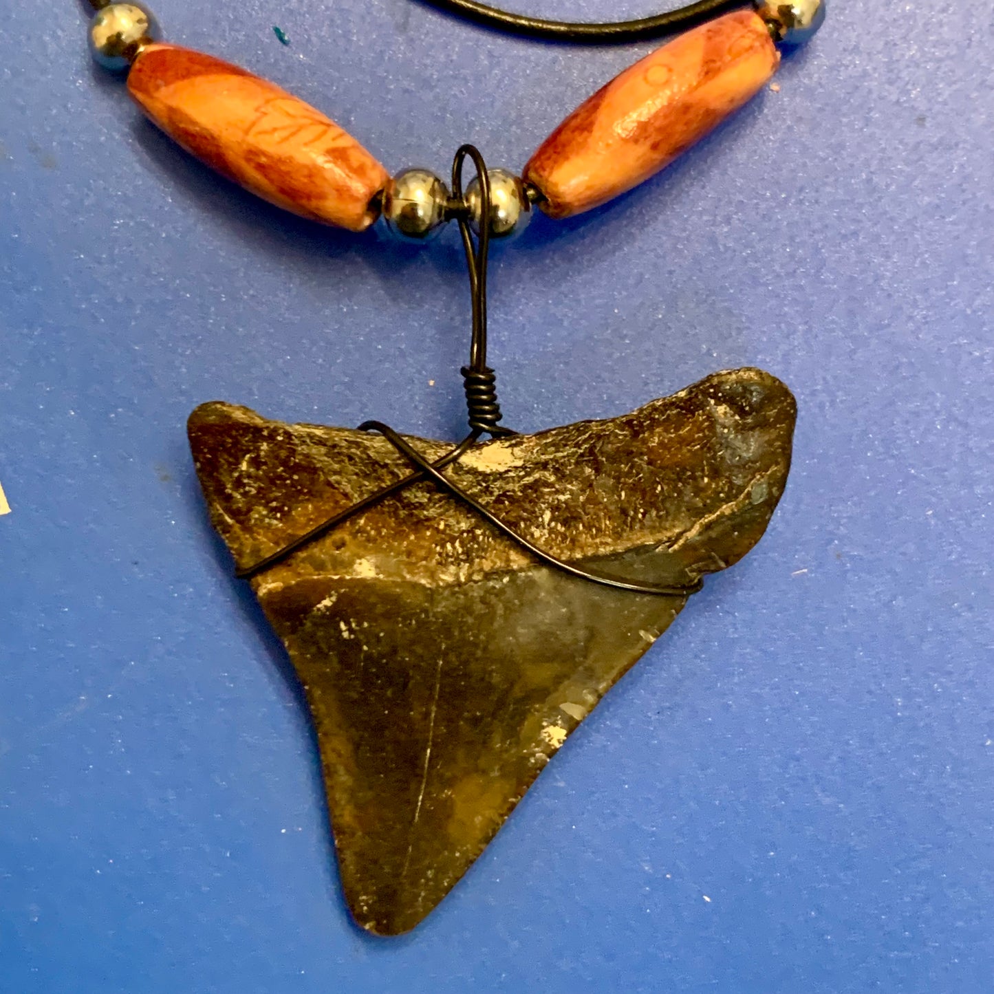 Real fossil megalodon shark tooth necklace on black cord, shark tooth pendant