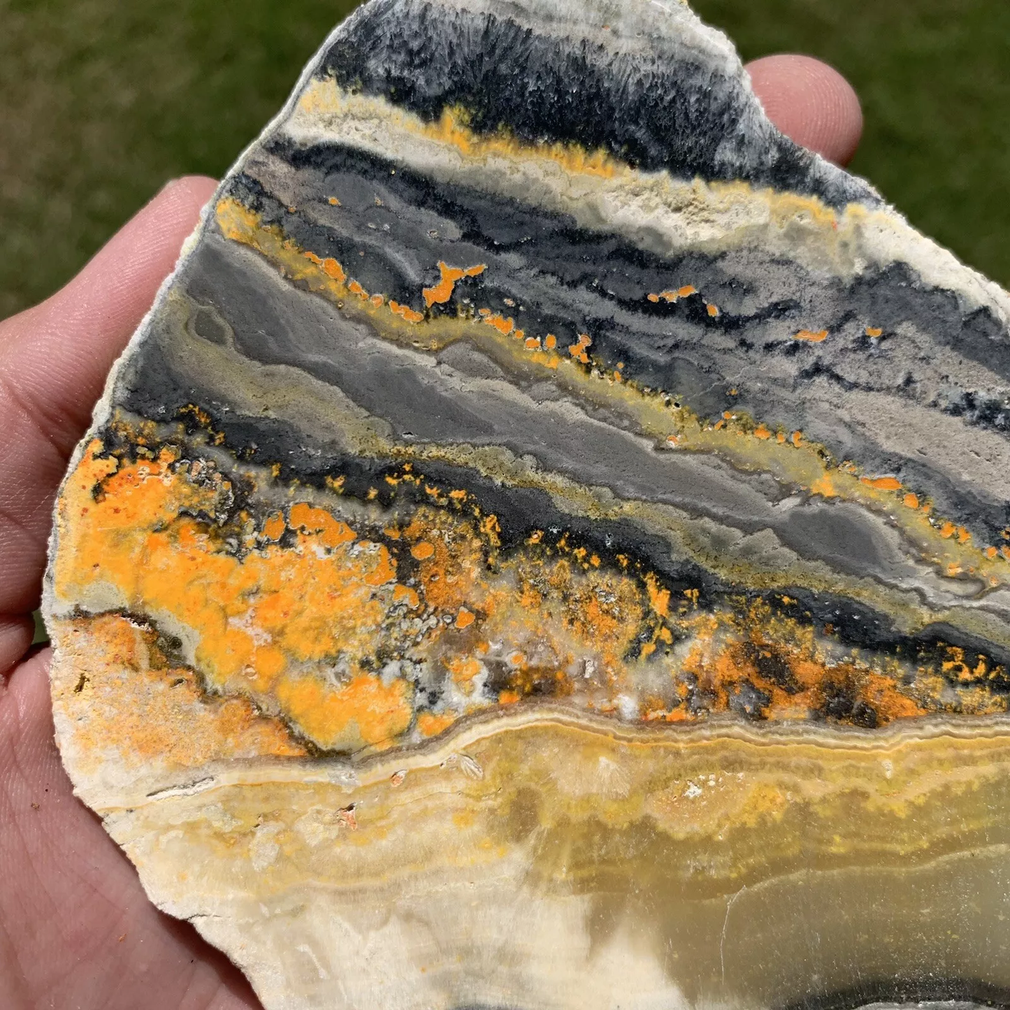 Polished Bumblebee Travertine from Indonesia, Slab, Slice