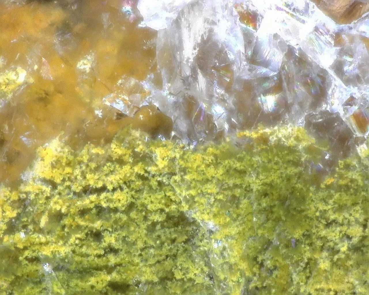 Polished Timor Agate from Indonesia, Slab, Slice