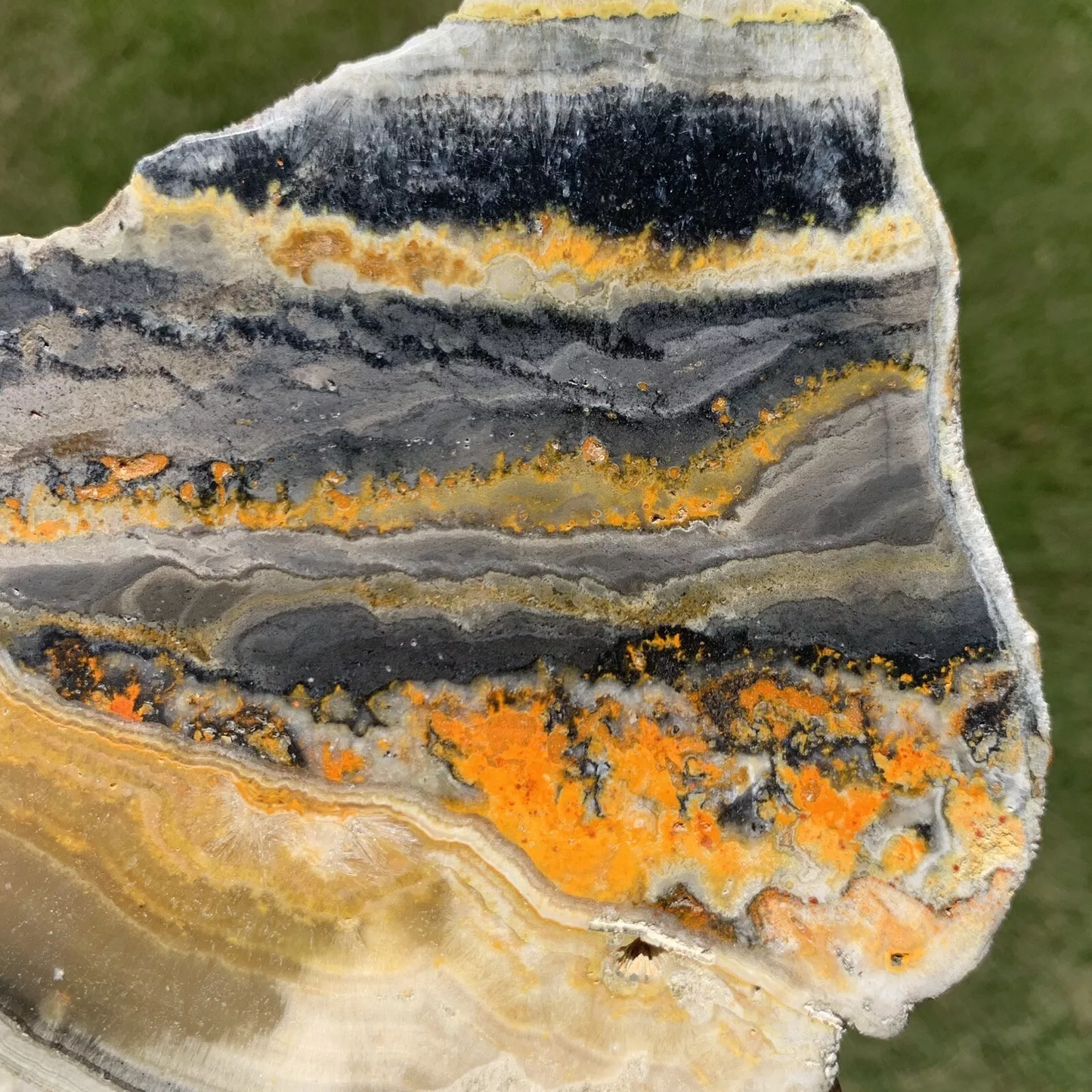 Polished Bumblebee Travertine from Indonesia, Slab, Slice