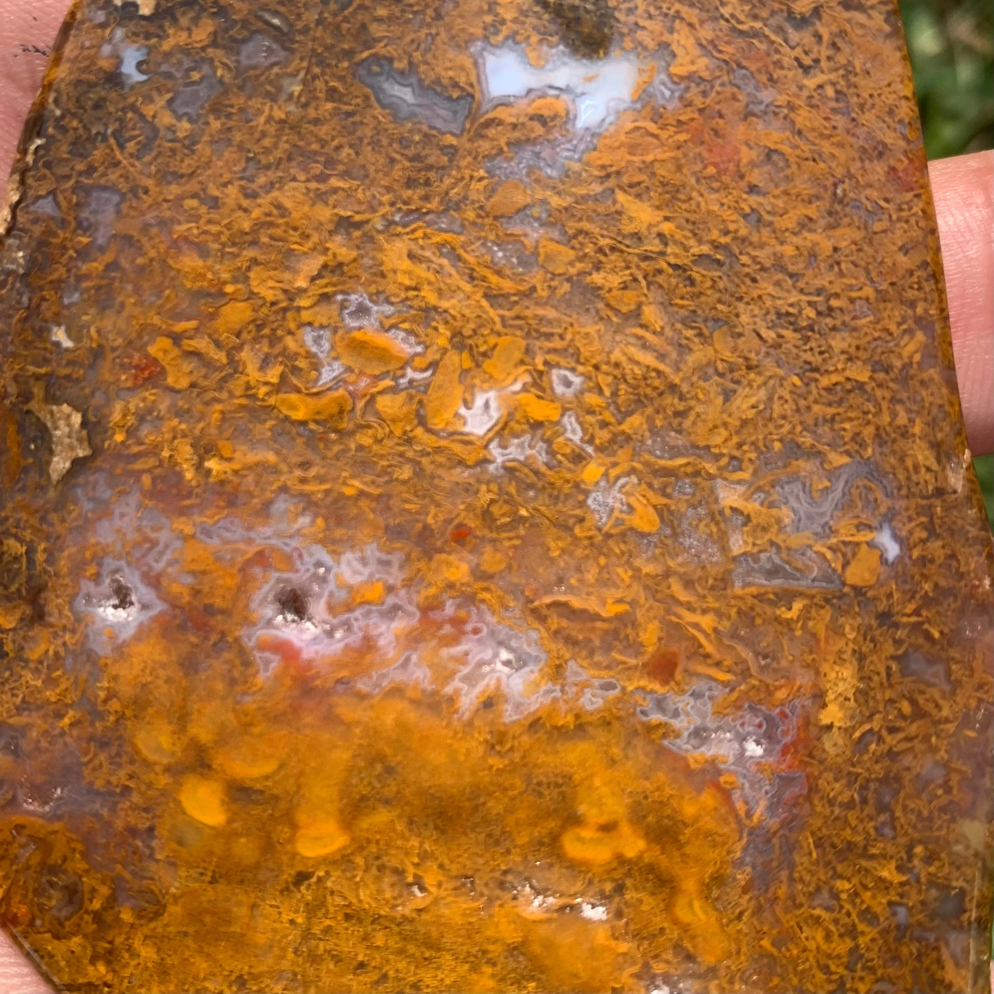 Polished Brown Moss Agate slab from Indonesia