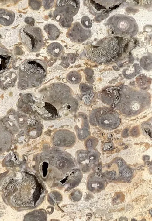 Polished Orbicular jasper Indonesia, Slab, Slice