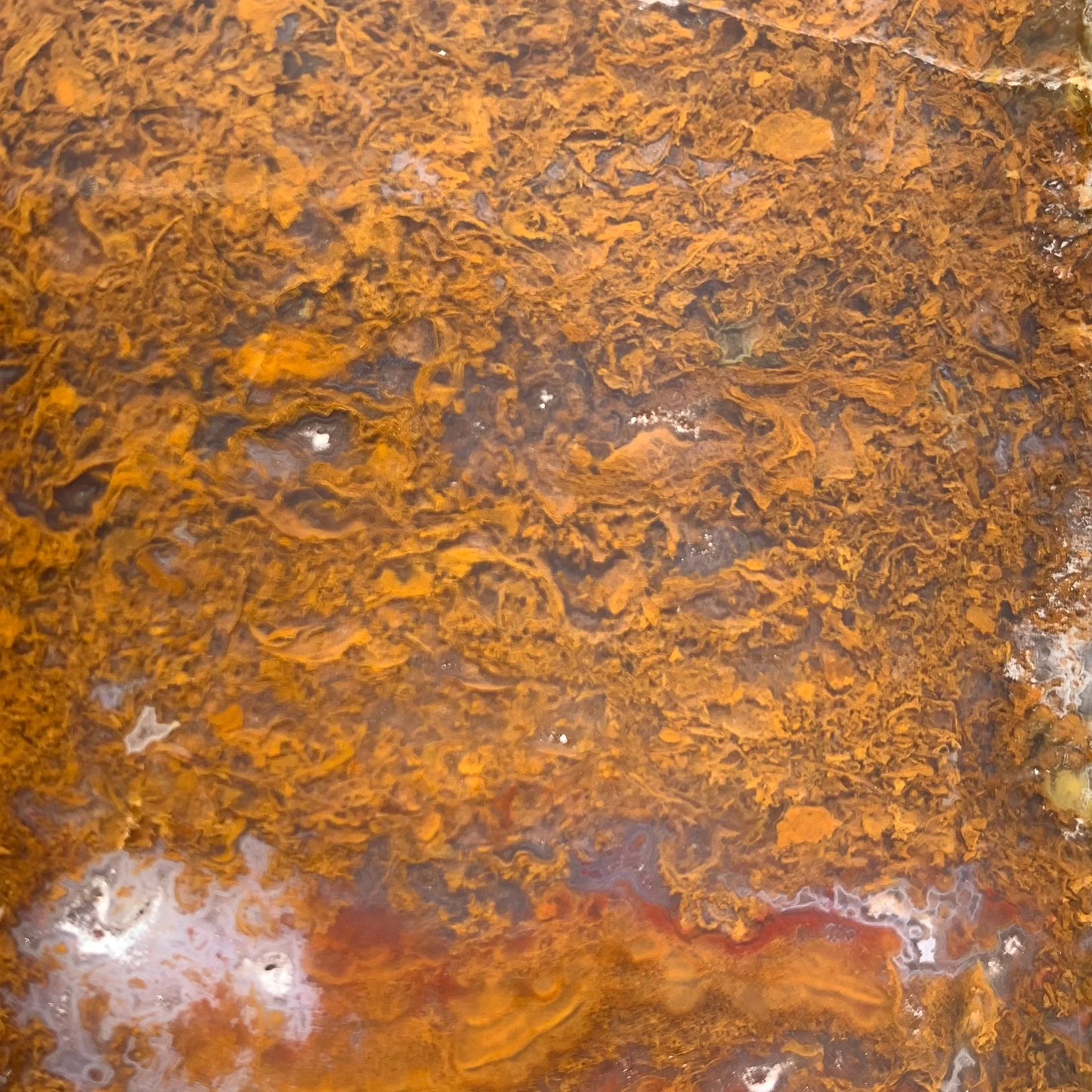 Polished Brown Moss Agate slab from Indonesia