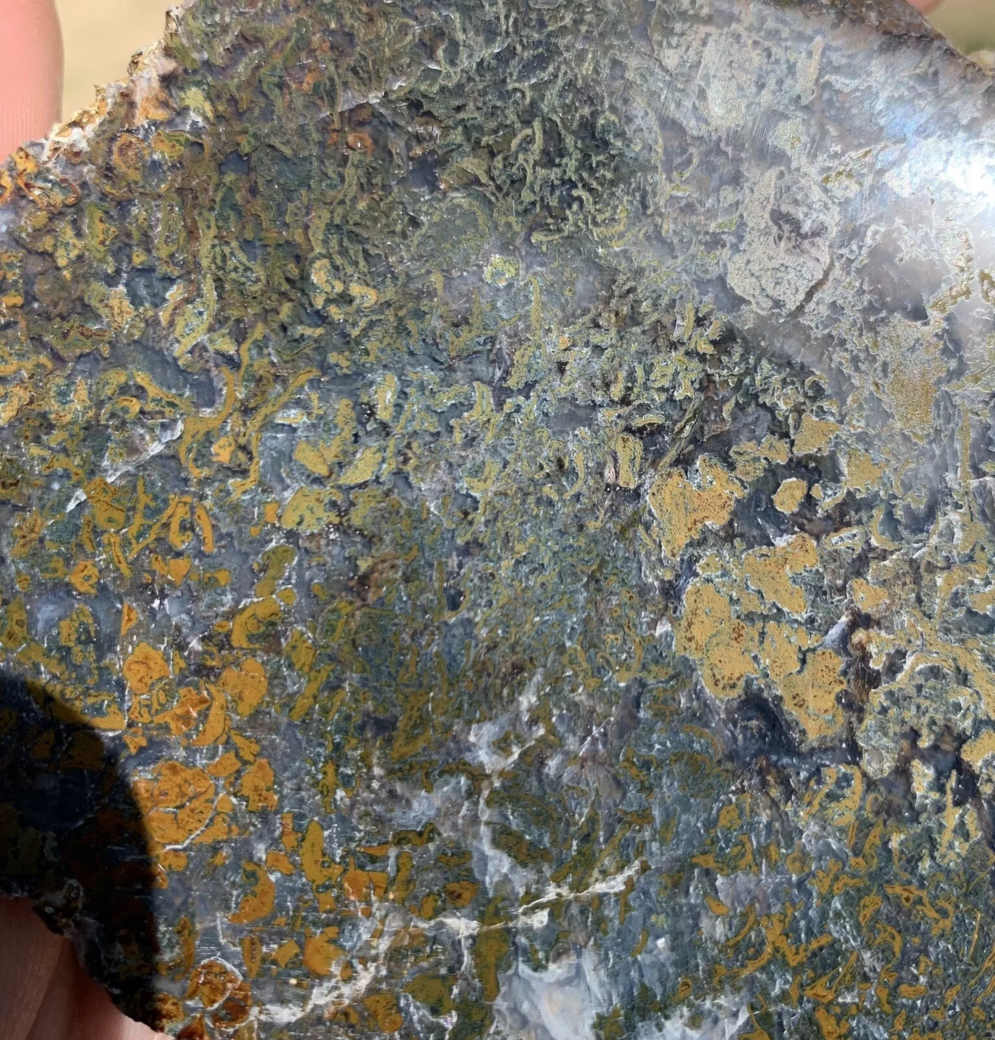 Polished Yellow Green Moss Agate from Indonesia, Slab, Slice