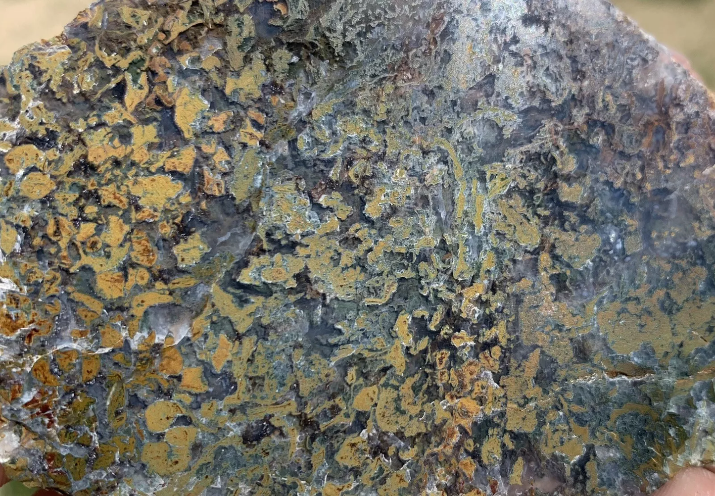 Polished Yellow Green Moss Agate from Indonesia, Slab, Slice