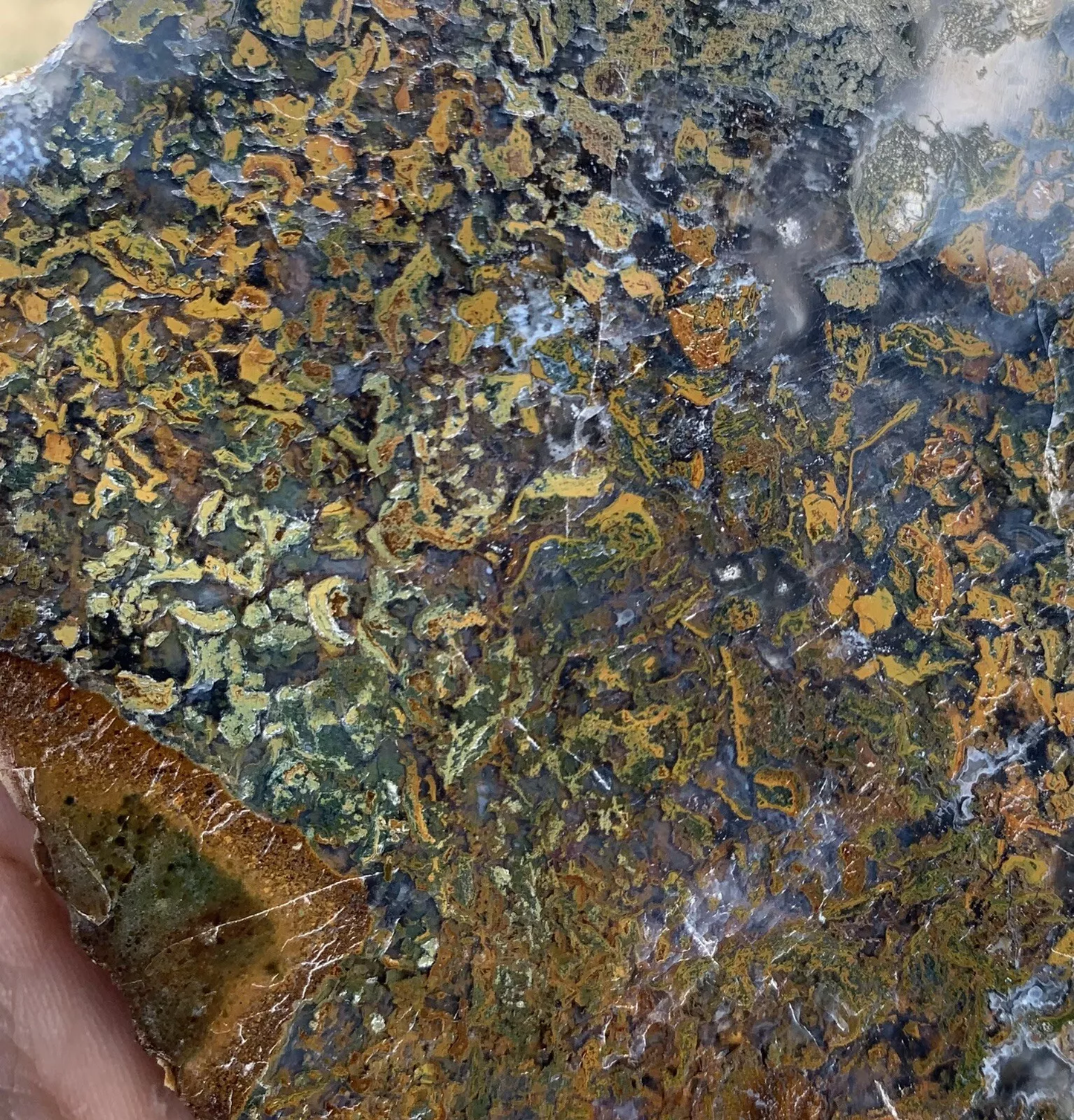 Polished Yellow Green Moss Agate from Indonesia, Slab, Slice