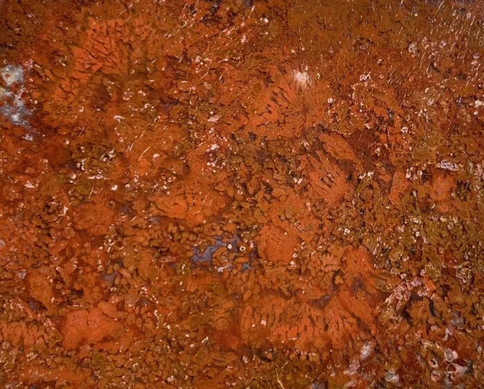 Polished Red Plume Agate from Indonesia, Slab, Slice