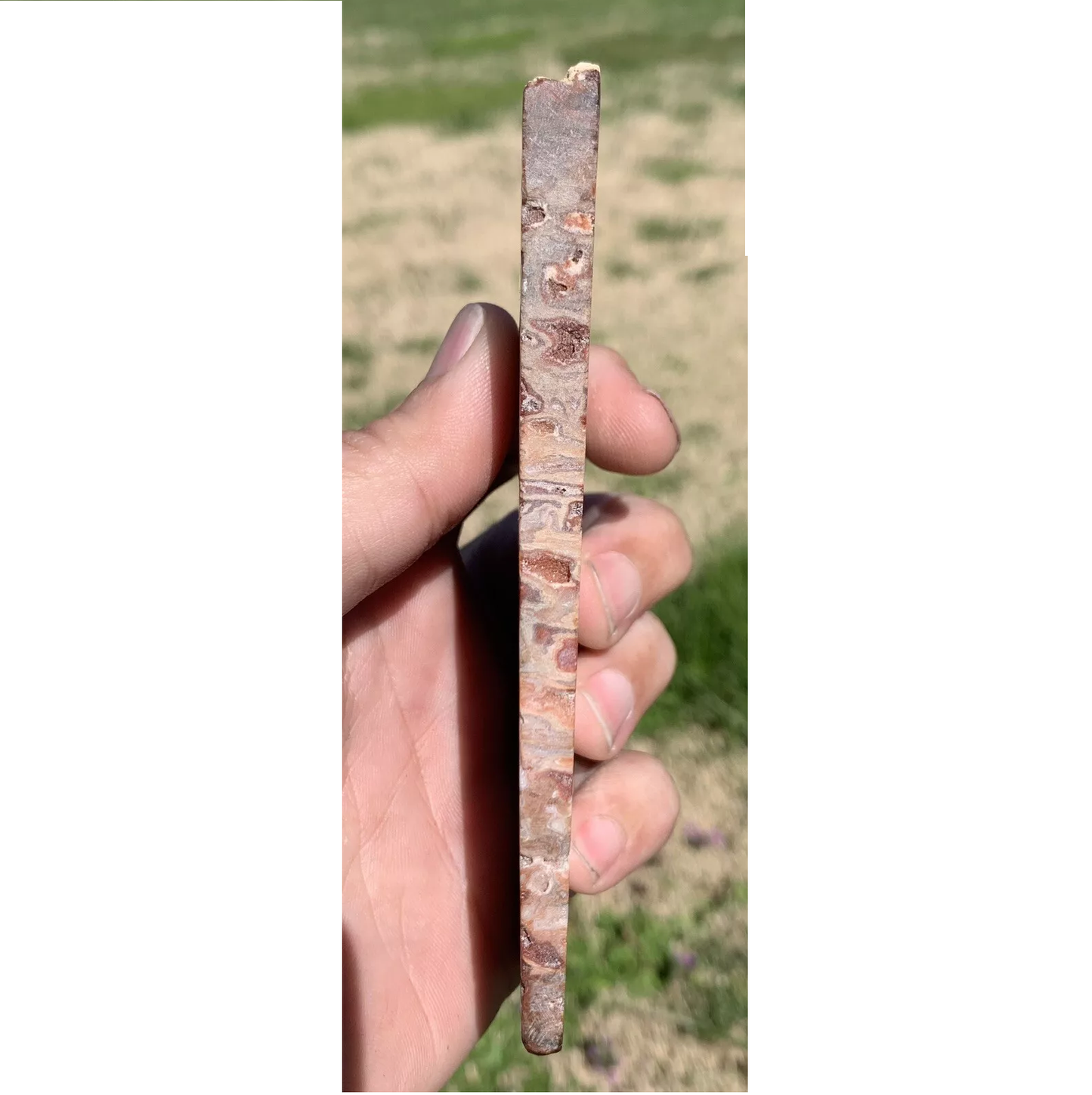 Polished Petrified Fossil Hard Wood with Druzy Pockets From Indonesia